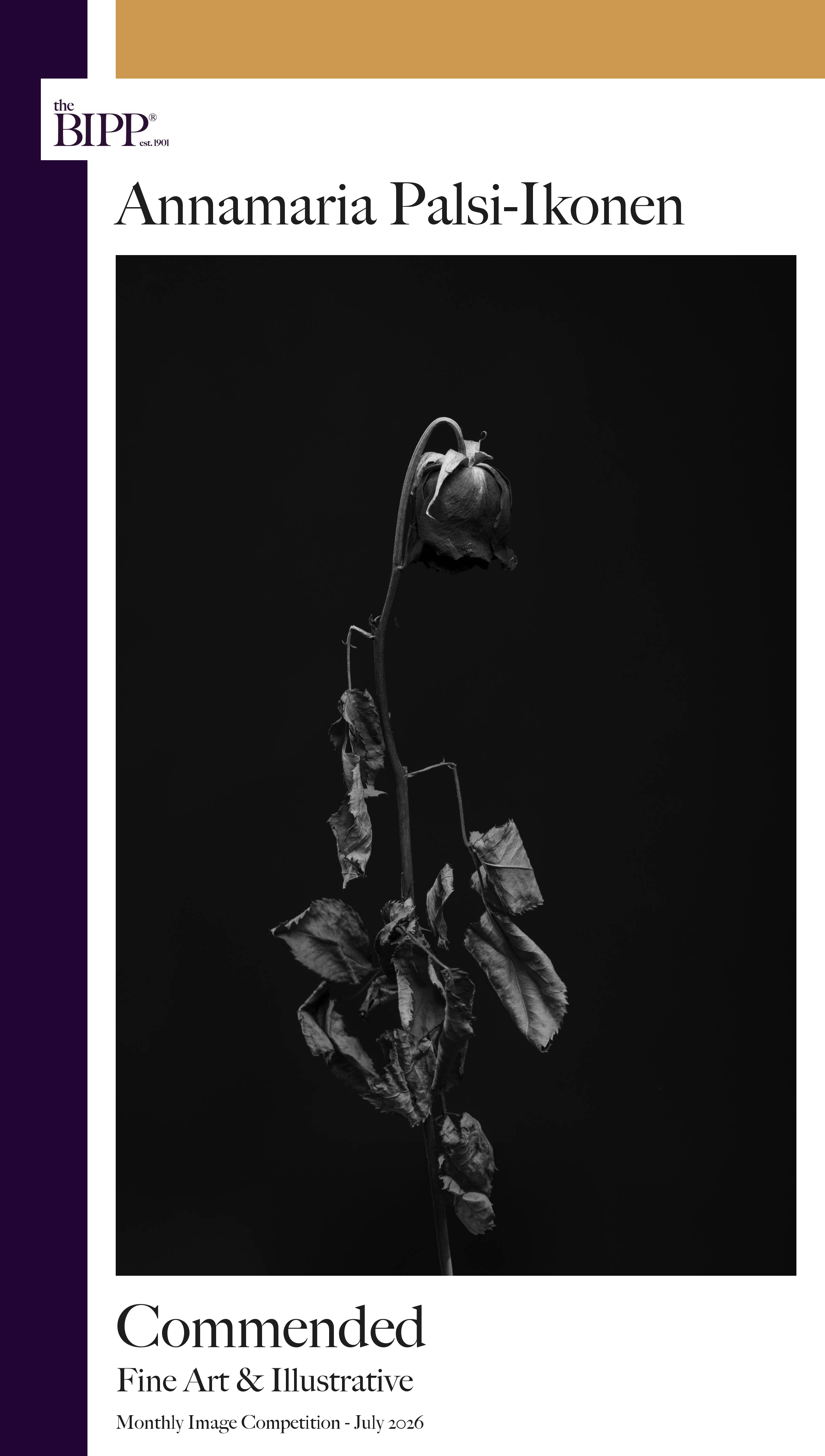 bipp_award_july_commended.png