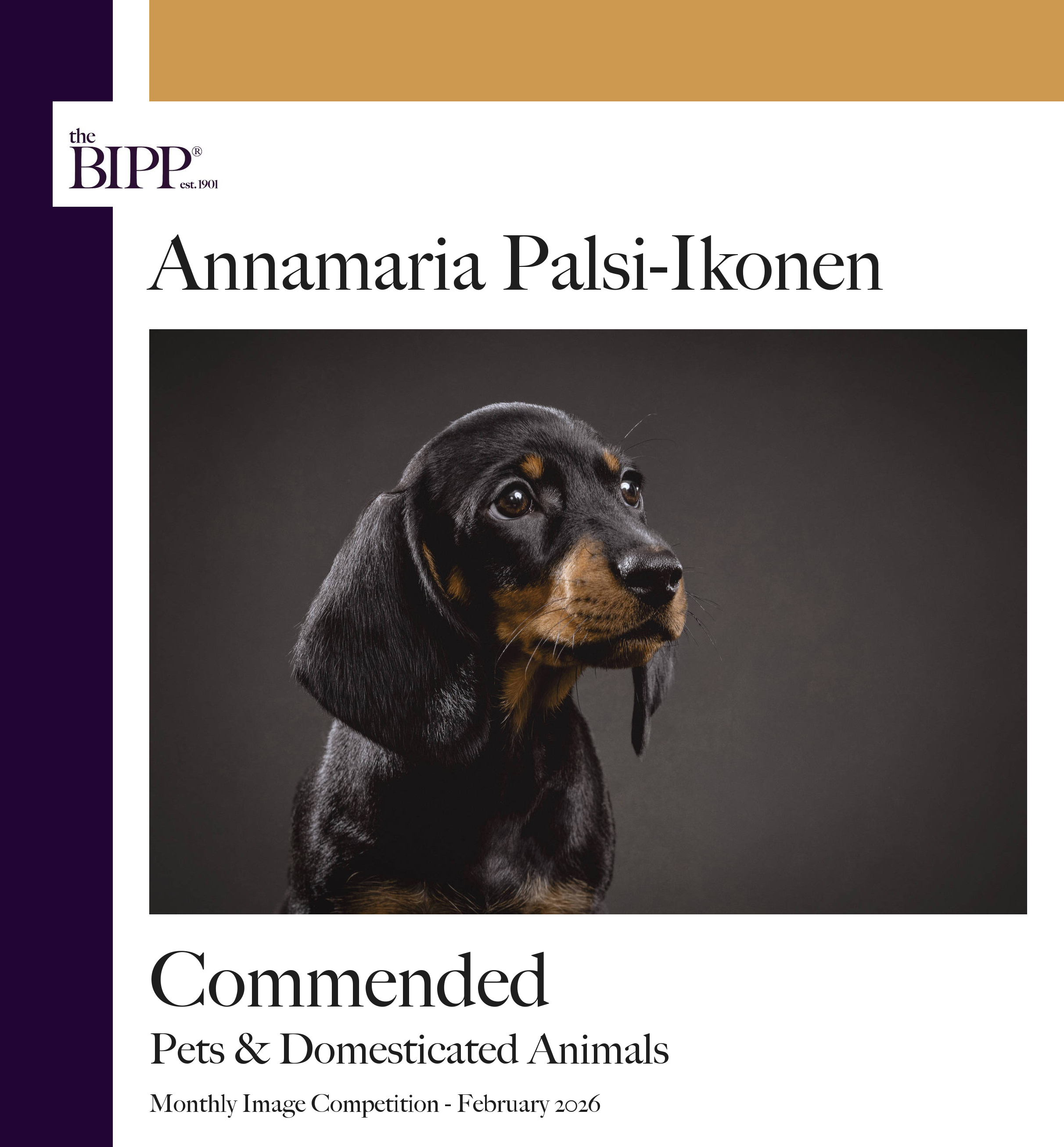 bipp_award_february_domesticated_animals.png