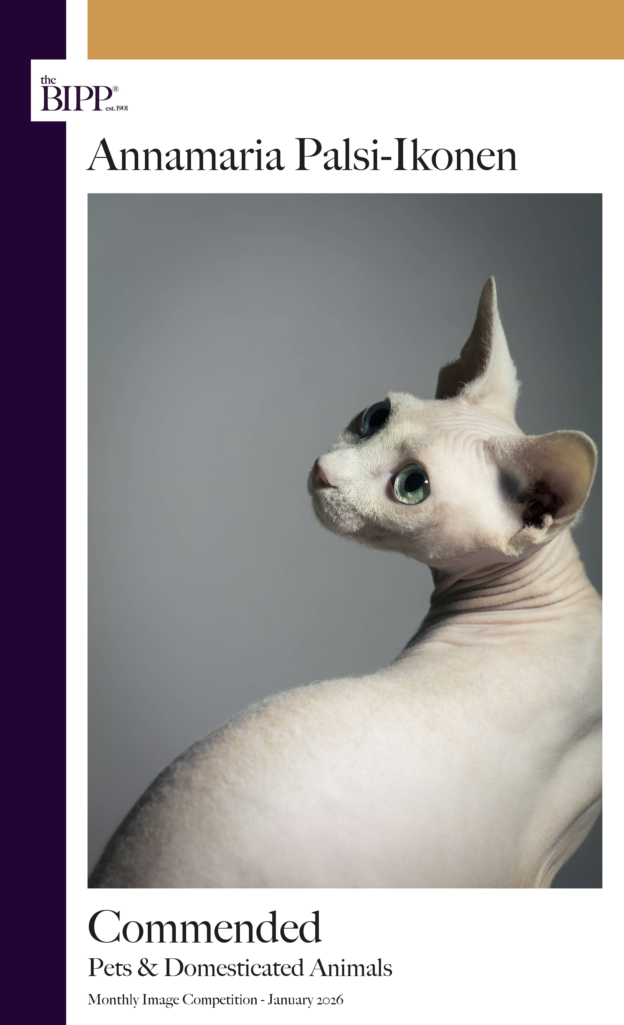 bipp_award_january_domesticated_animals.png