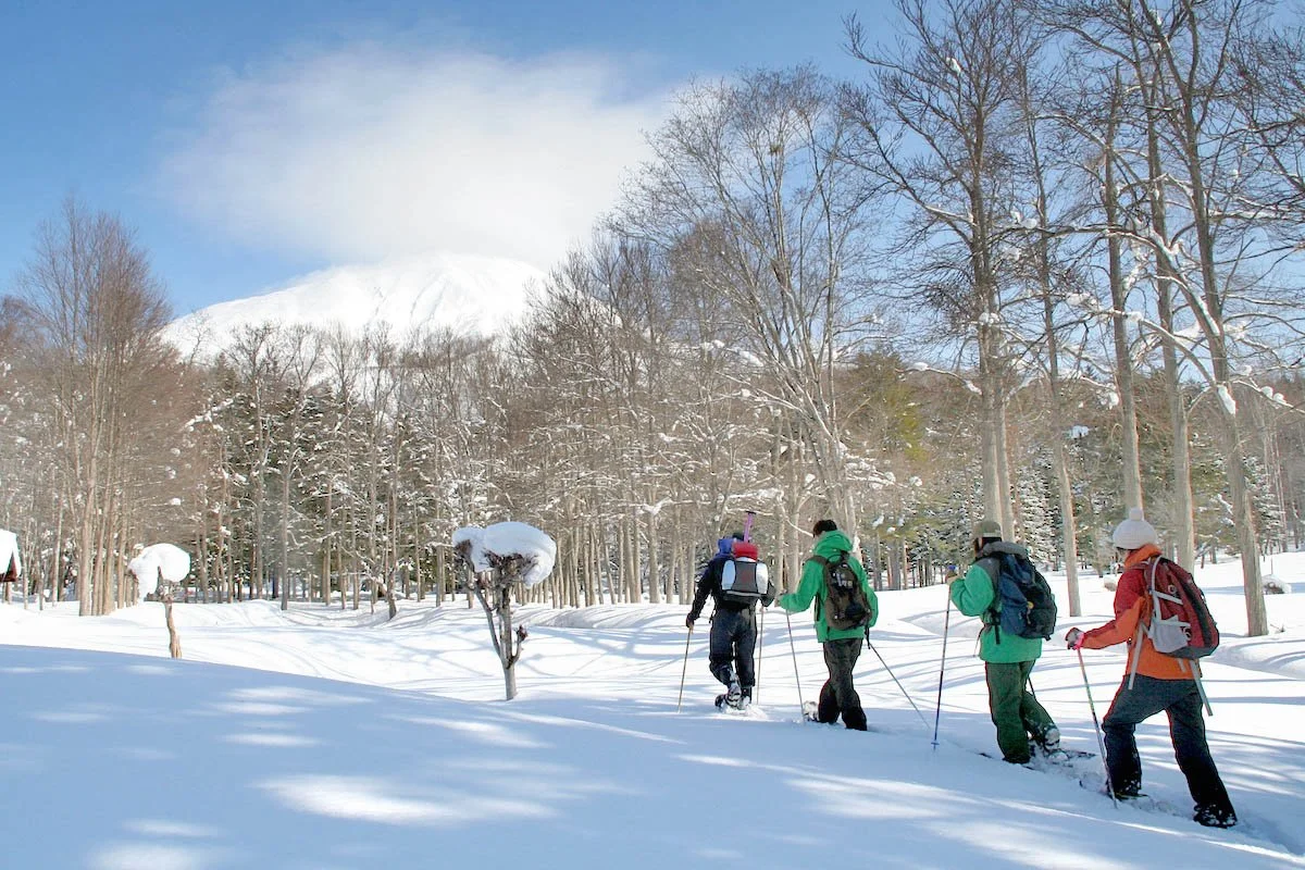 Snow shoe tours in Niseko