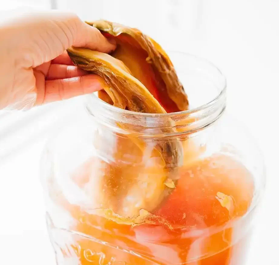 Large Kombucha SOYA.png