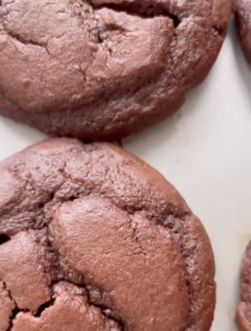 Double Chocolate Gut Muffins
