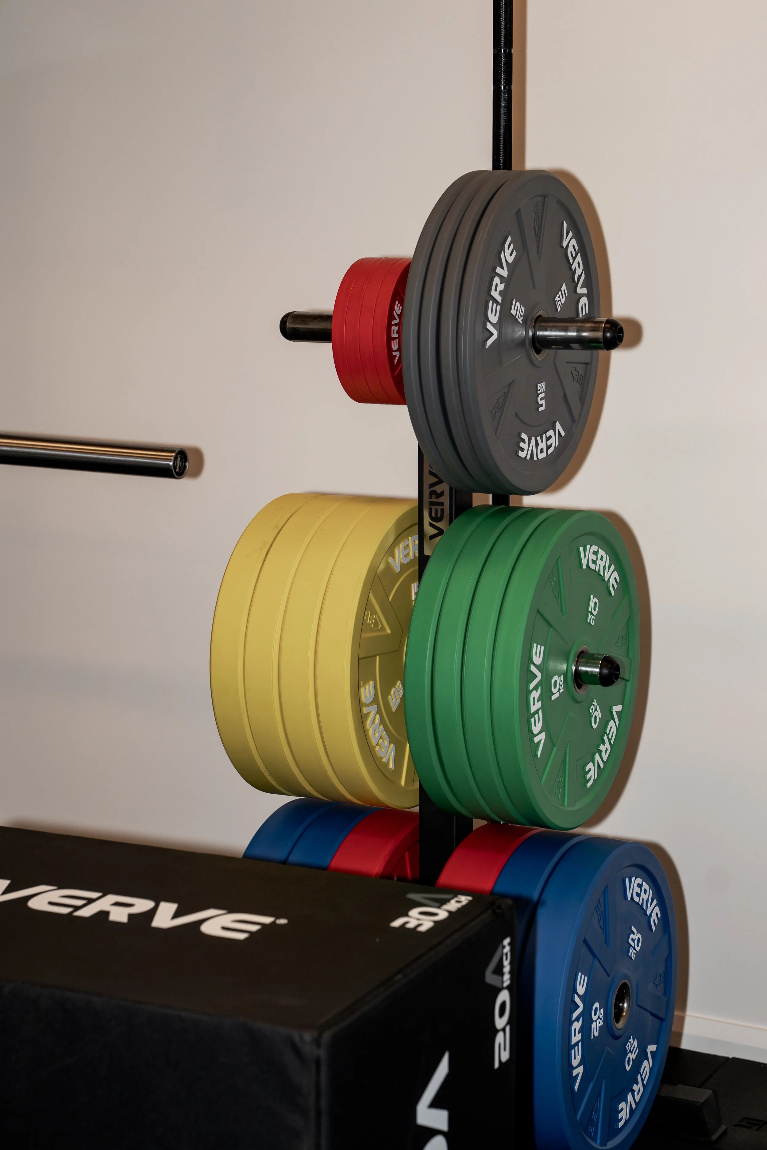 South Coast Sports Physio-21.jpg