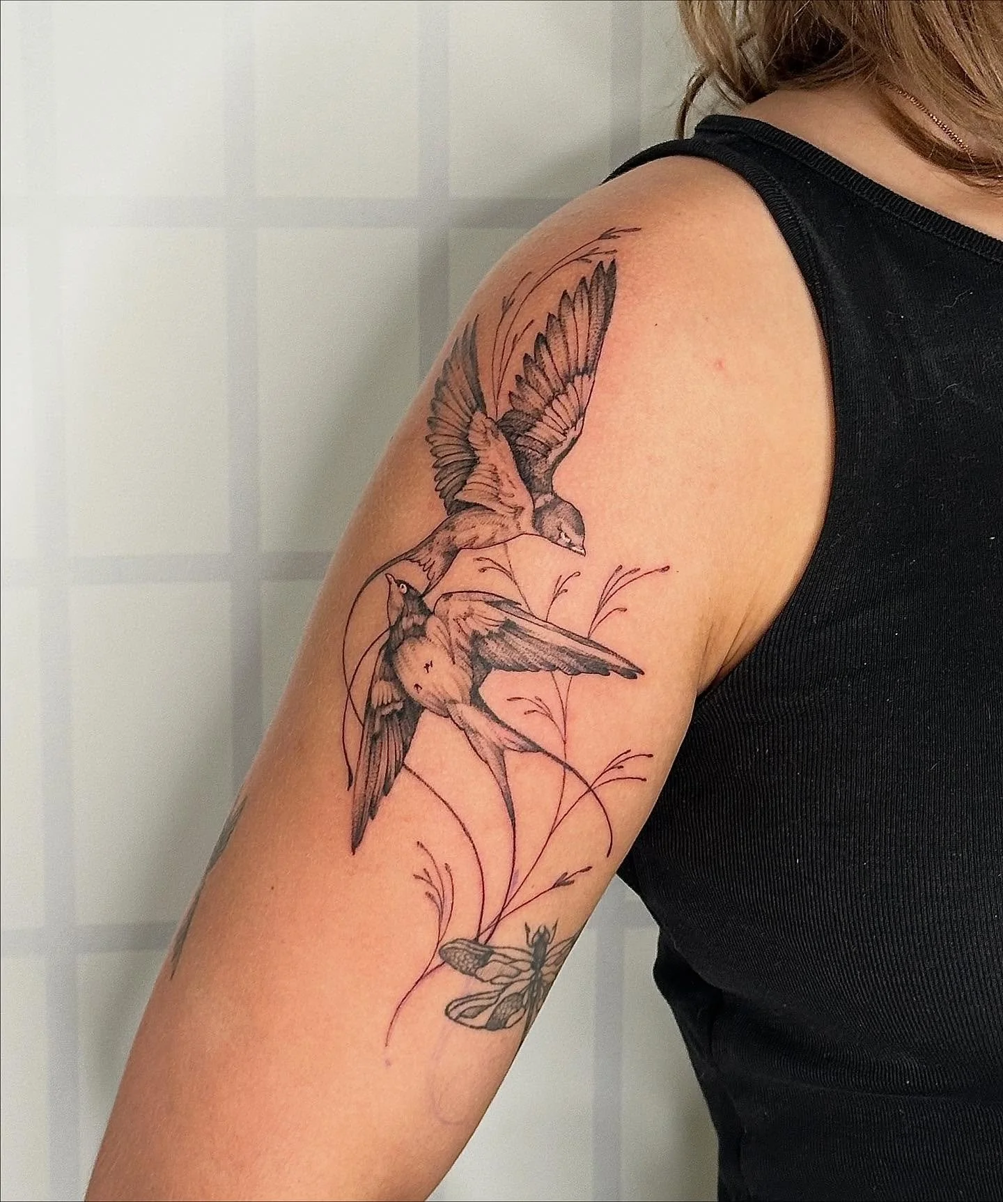 Two swallows for my grill nicoletta! The flow! The vibes,  the evrything immculate. Im se jealous of these teo cuties i lowkey want them. Thank you uso much and always nicolette ❤️❤️