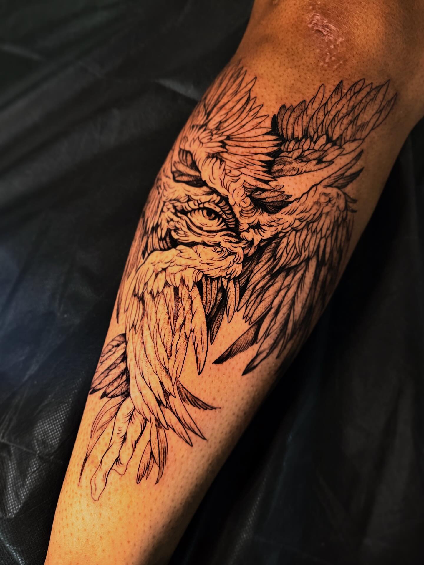 ~6 hrs

Seraphim for the loveliest humannn!! We decided to just go large because i thought it would look so sick! And i was SO happy that blue was down! We had the best time and you had the loveliest energy. Im so glad i finally got to do some fun wi