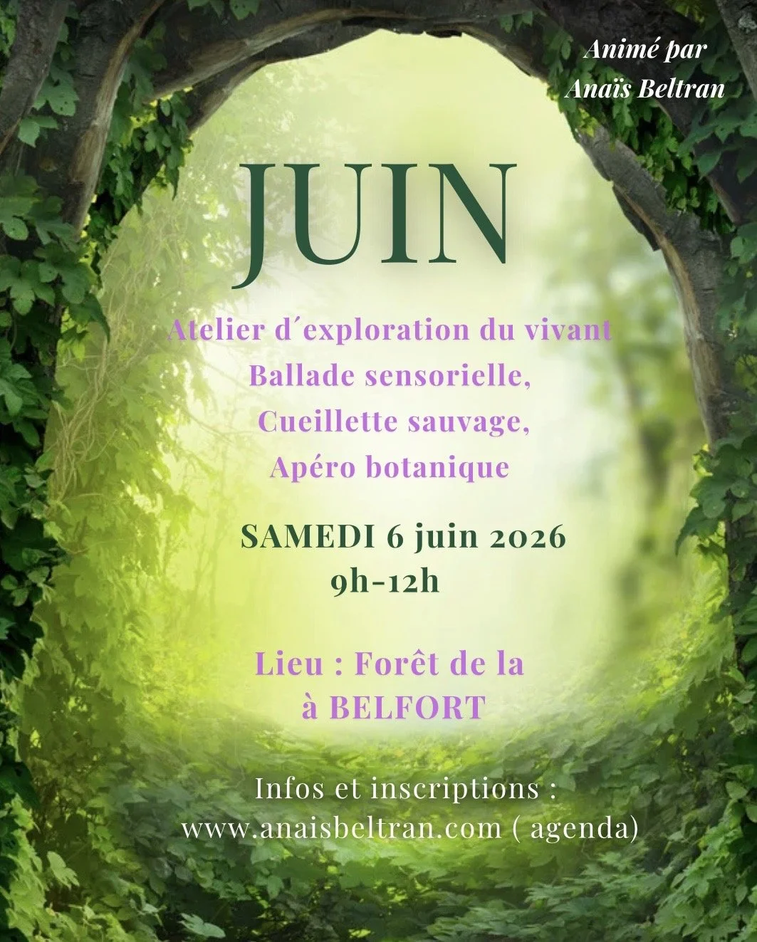 Exploration du Vivant, Cueilette & apéro botanique