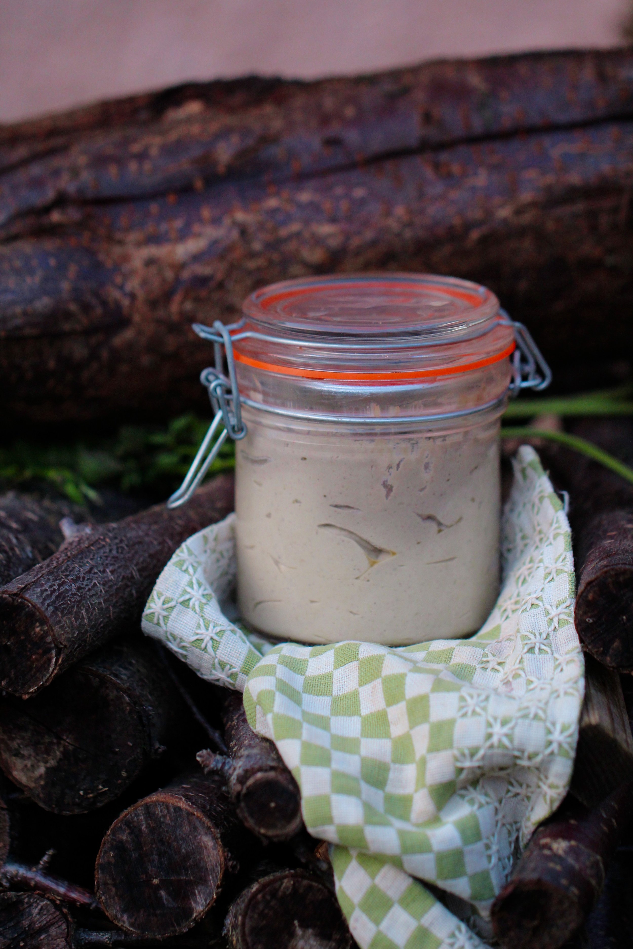 Joie Gras végétal : La Tartinade de lumière qui célèbre la vie