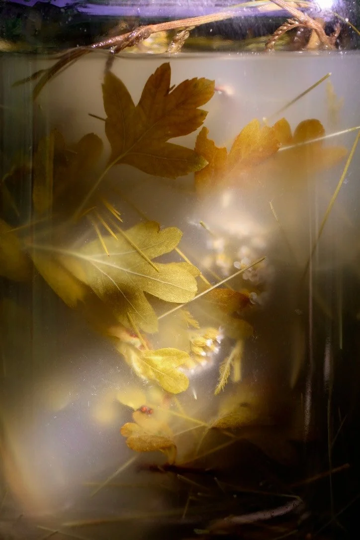 IMG_8285_polarr 2.JPEG