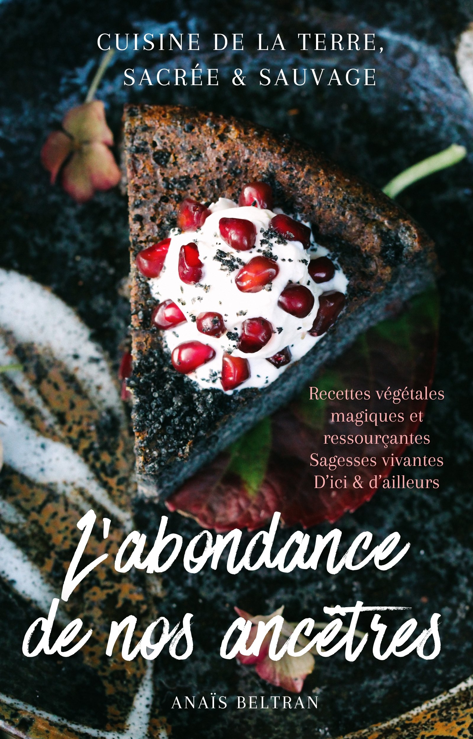 Mon nouveau livre Ebook 