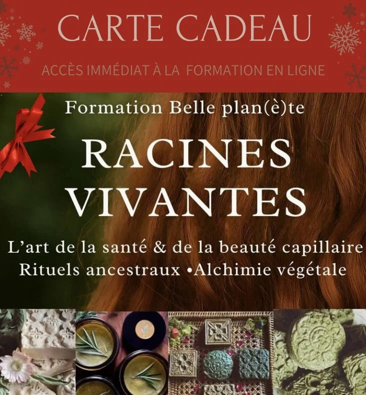 Bon Cadeau Formation  