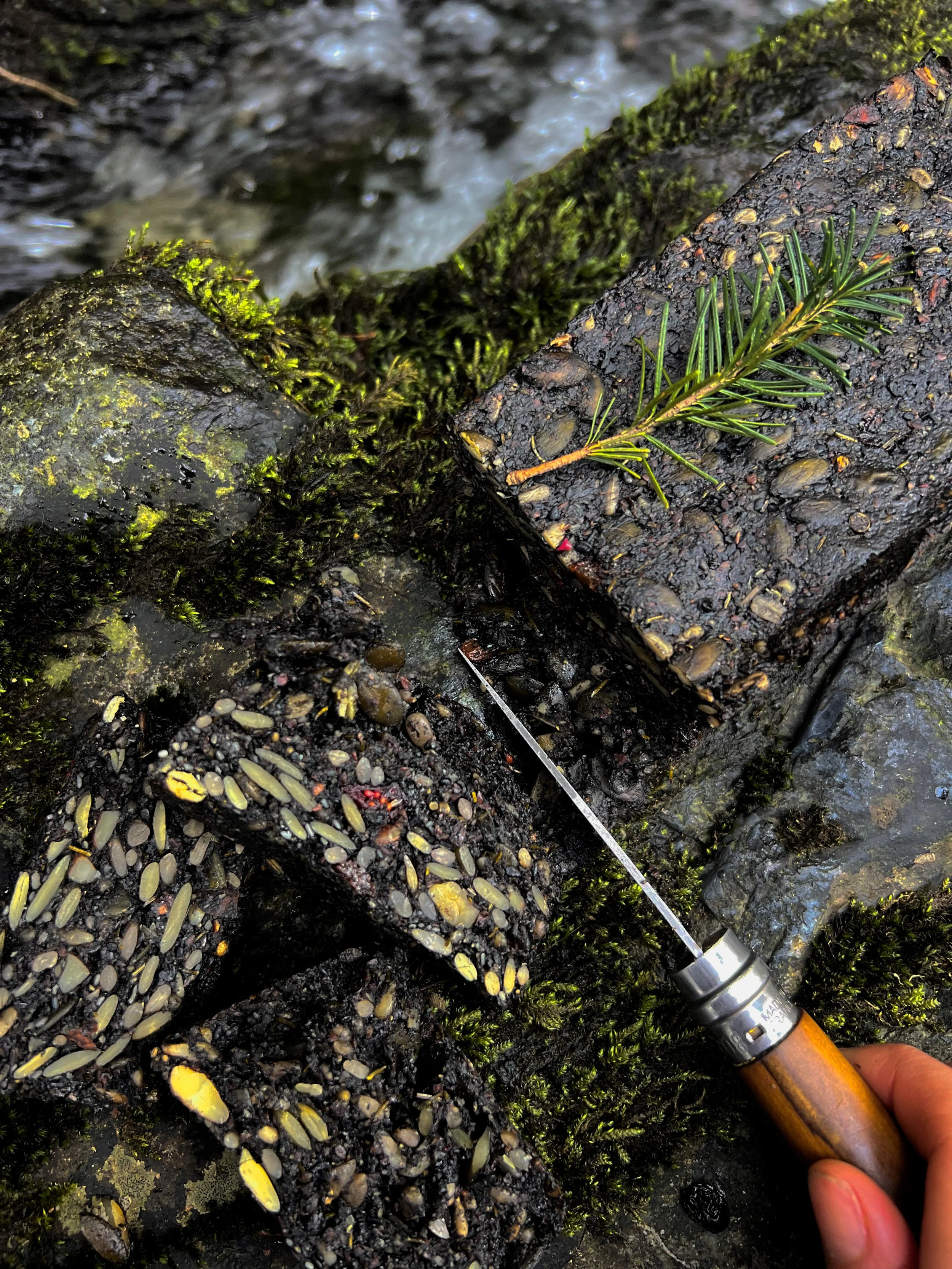 IMG_0570_polarr 2.JPEG