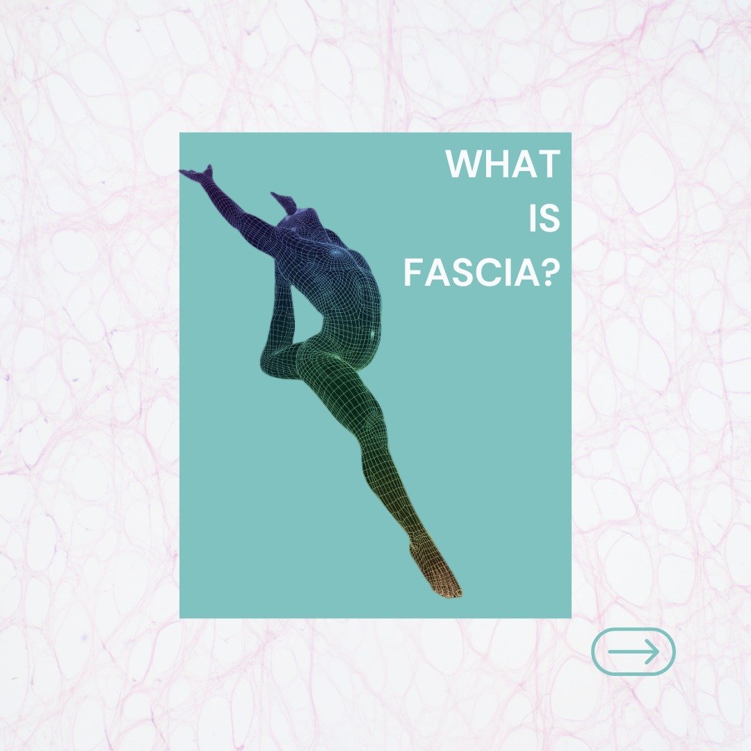 What exactly is Fascia in the body?

As a Massage Therapist, I often get questions about fascia and its role in our bodies. Fascia is a connective tissue that surrounds and supports our muscles, organs, and even bones. Think of it as a web-like struc