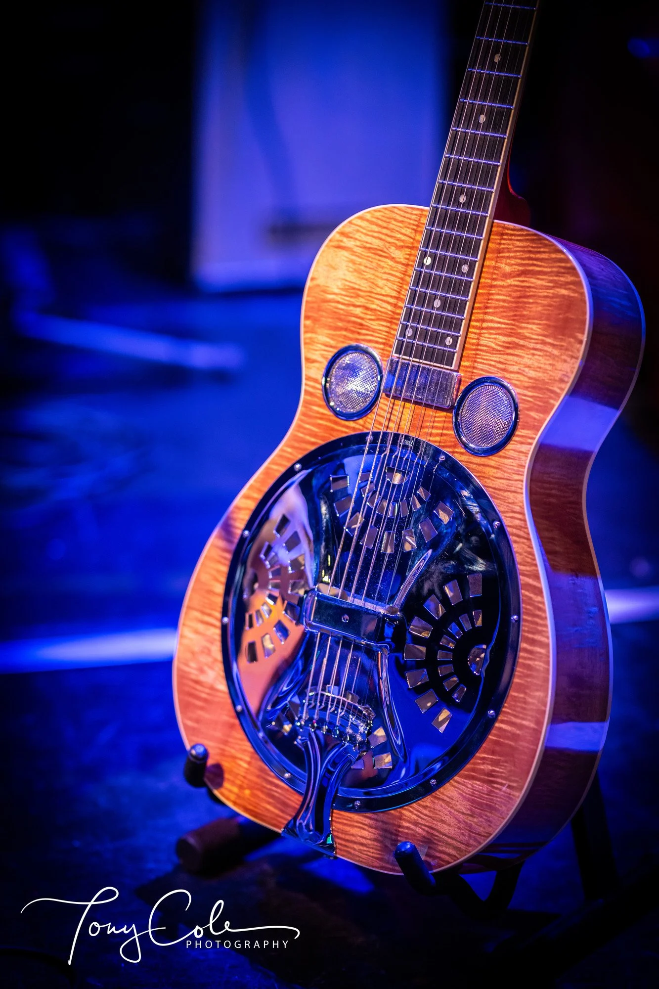 Tony Cole Photography - 9515-0852_result.jpg
