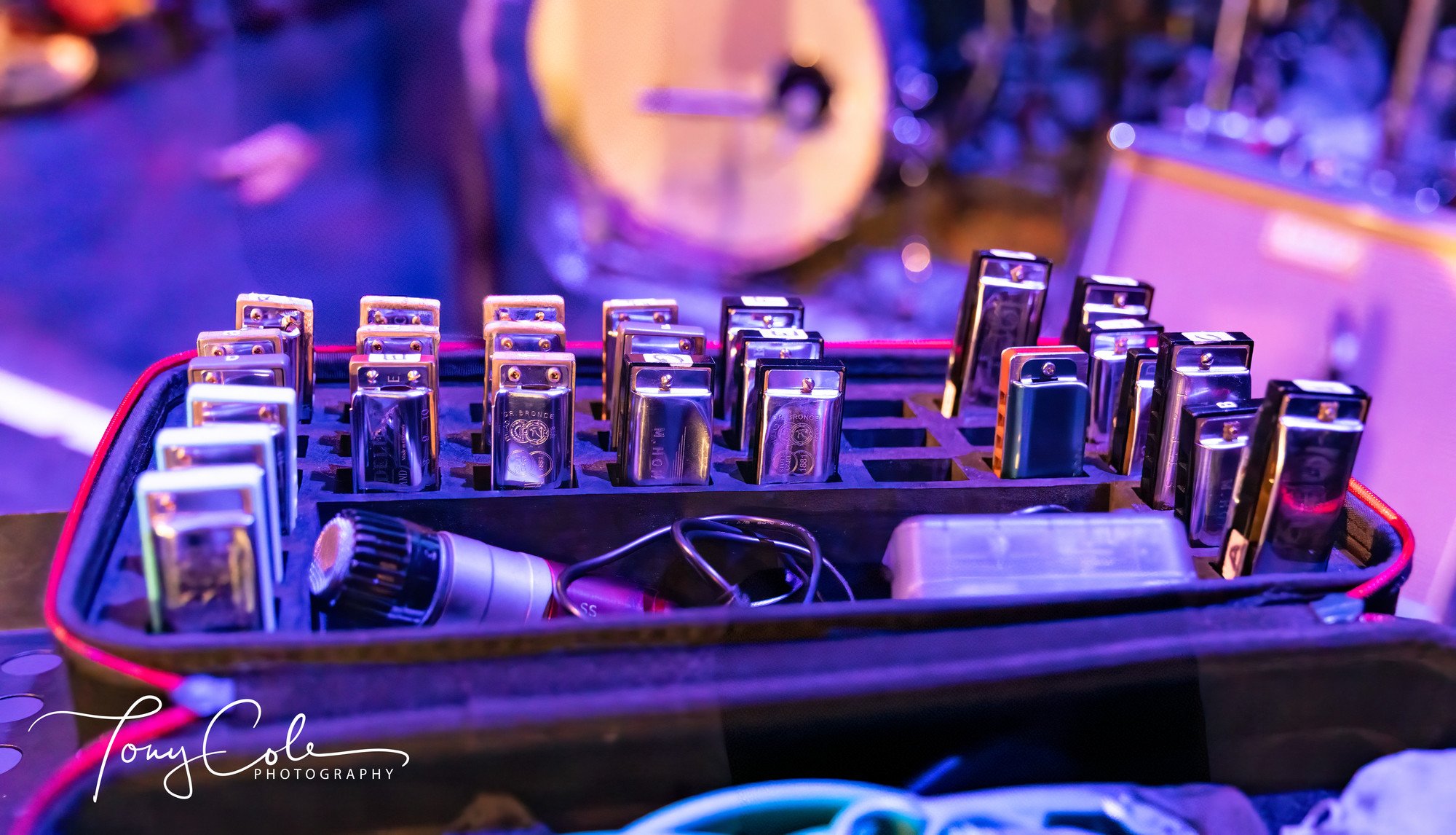 Tony Cole Photography - 9515-3119_result.jpg