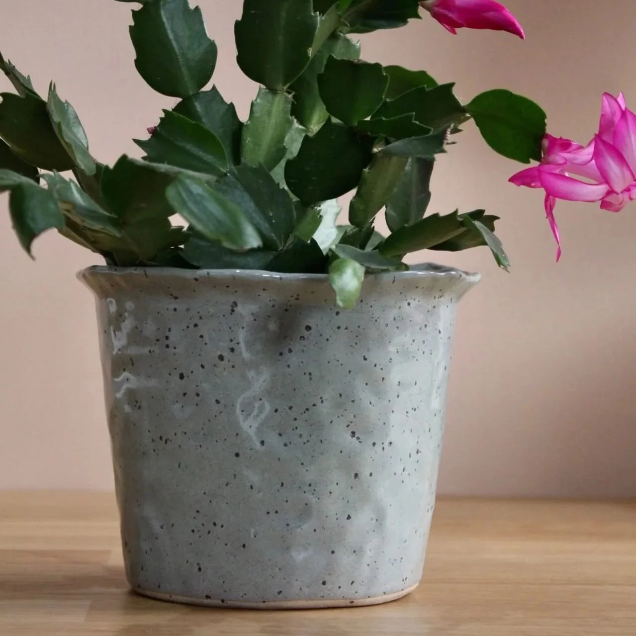 Planter-in-sage-%232-6-studio-yoki.jpg
