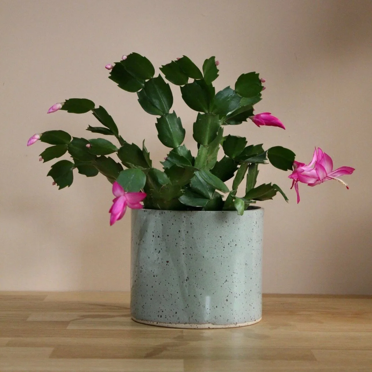 Planter-in-sage-%231-2-studio-yoki.jpg