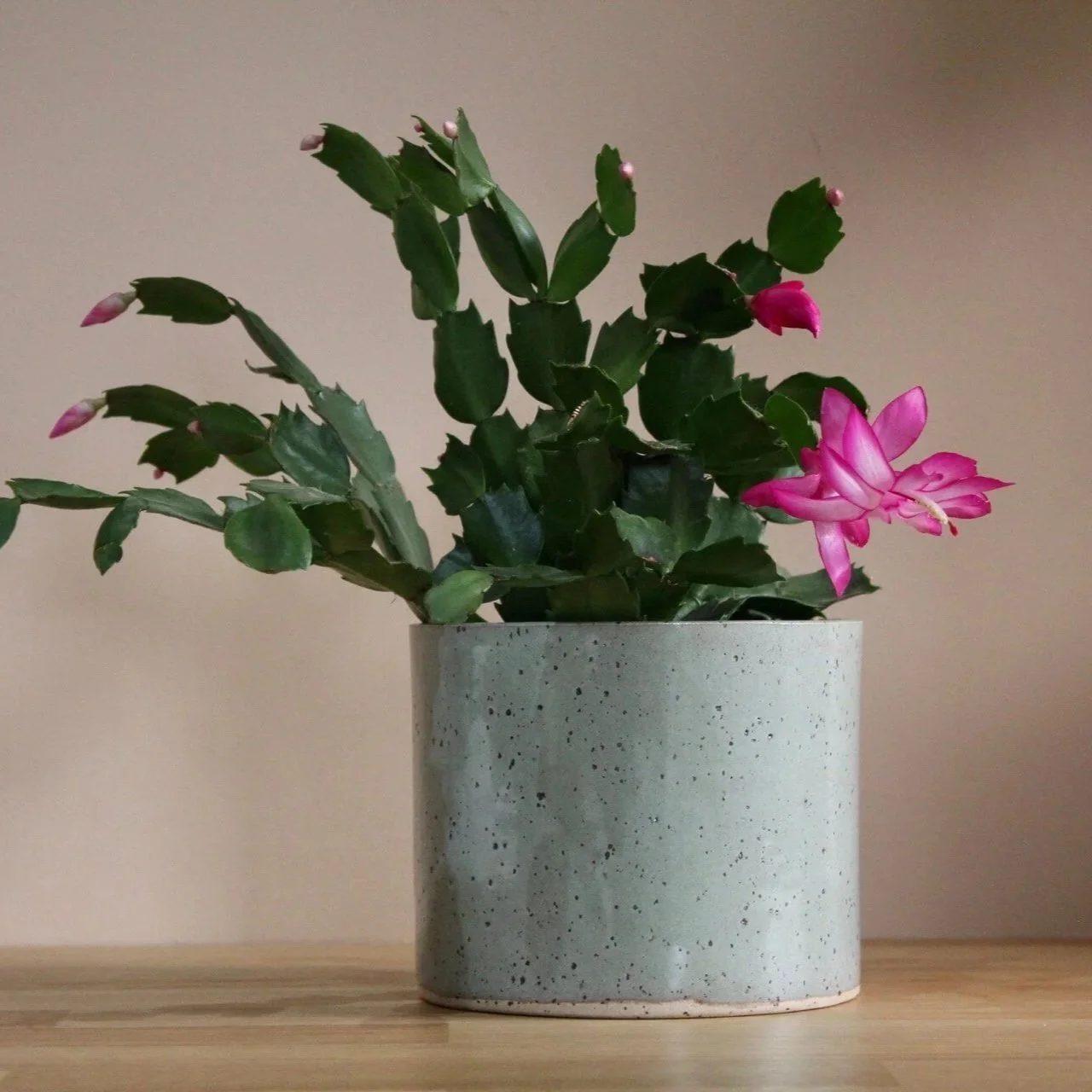 Planter-in-sage-%231-4-studio-yoki.jpg