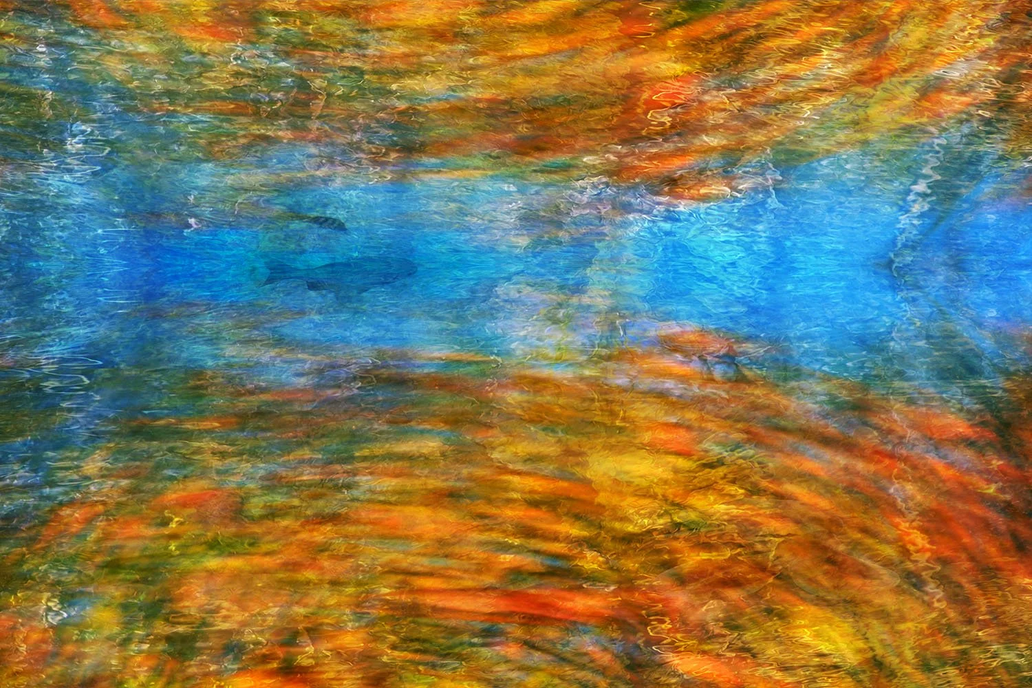 I will guide you.jpg