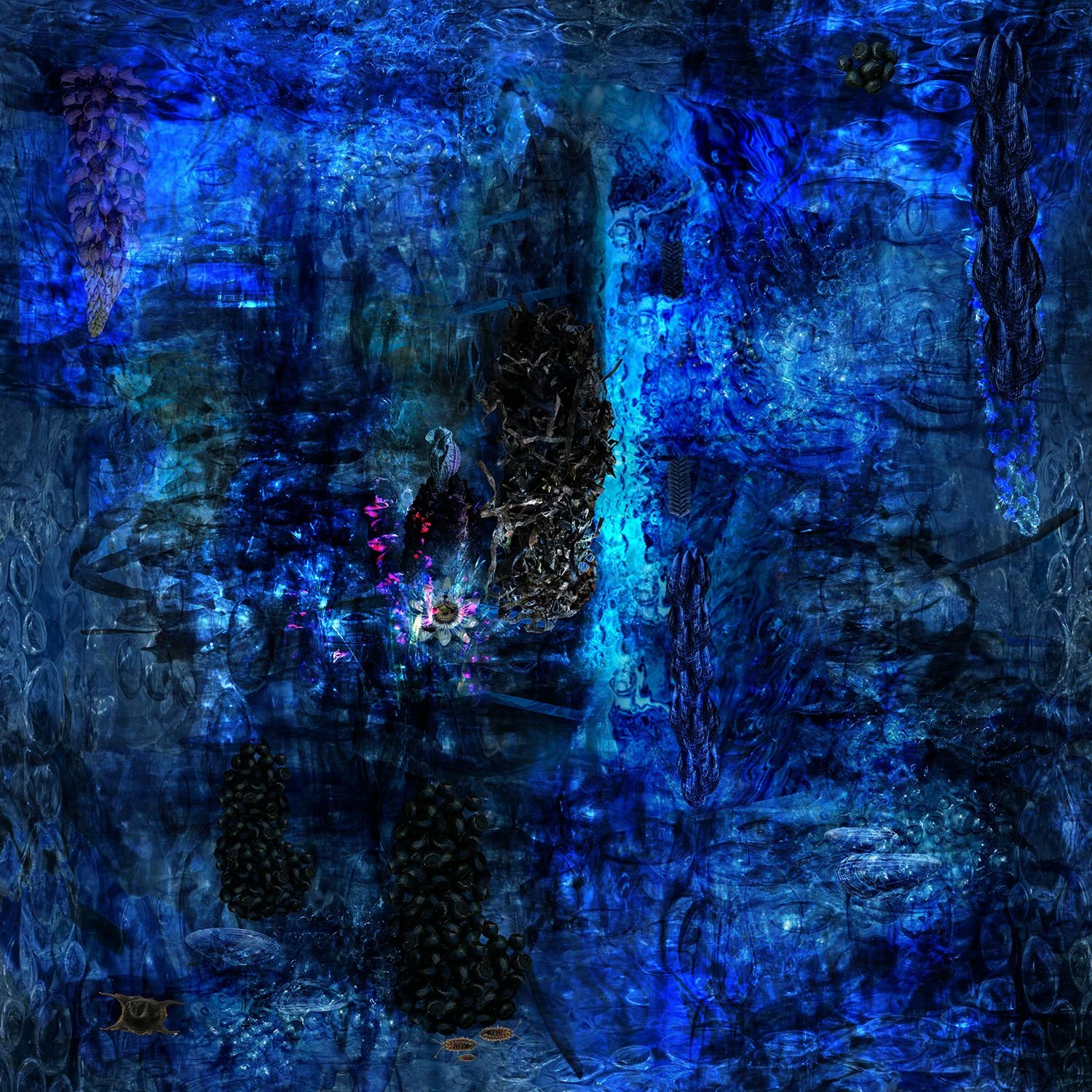 pompom 4 cobalt 1 master low res.jpg