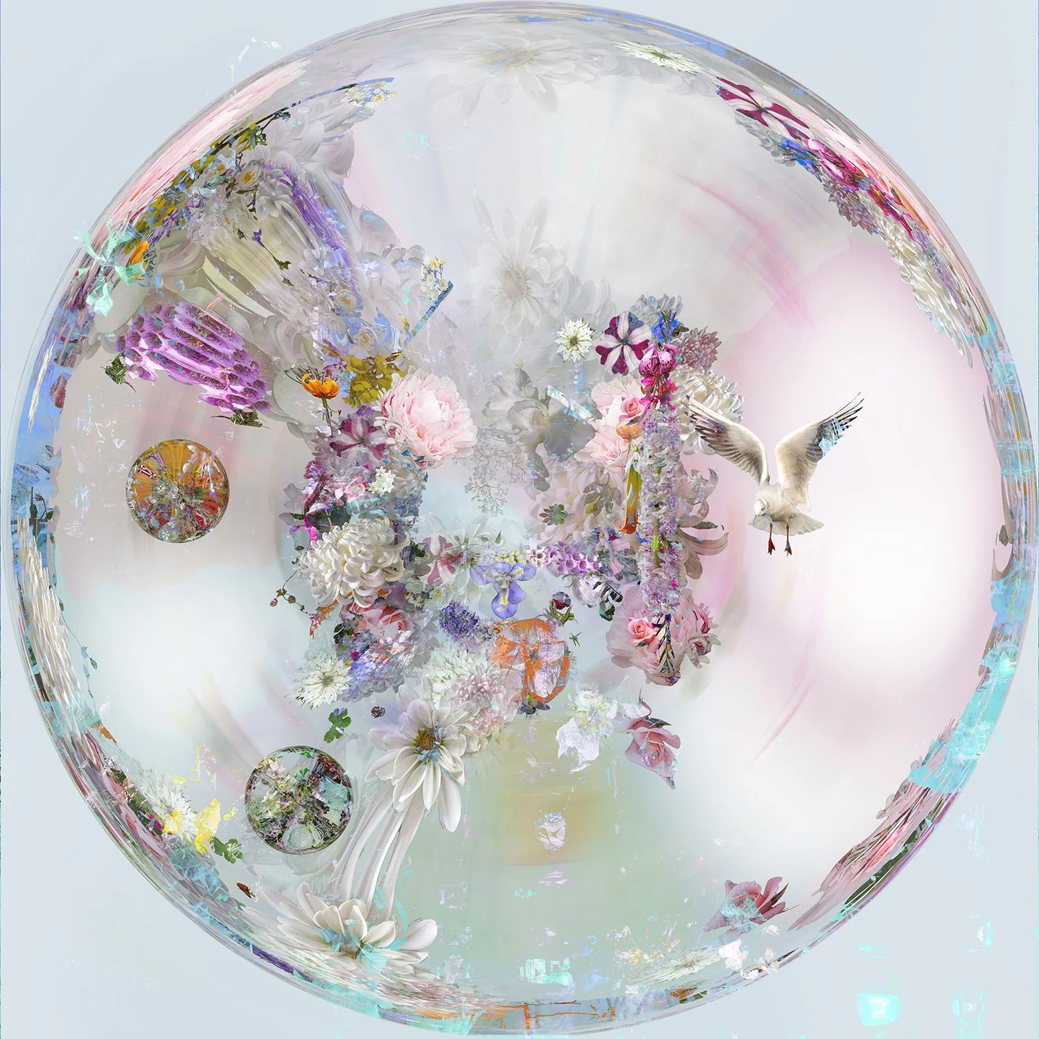 5. I can see clearly now.jpg