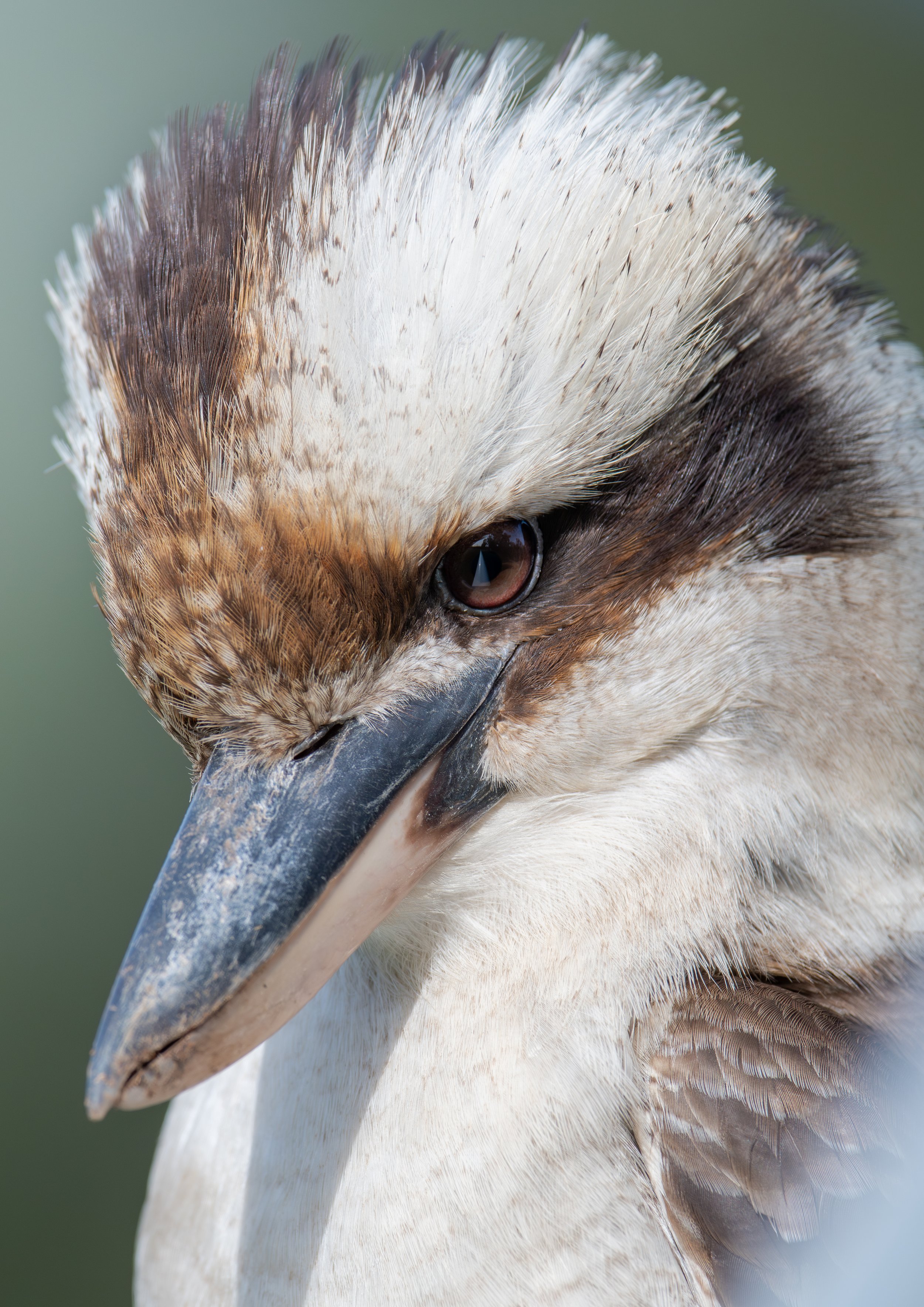 DSC_0463-3892x5504 L.jpg