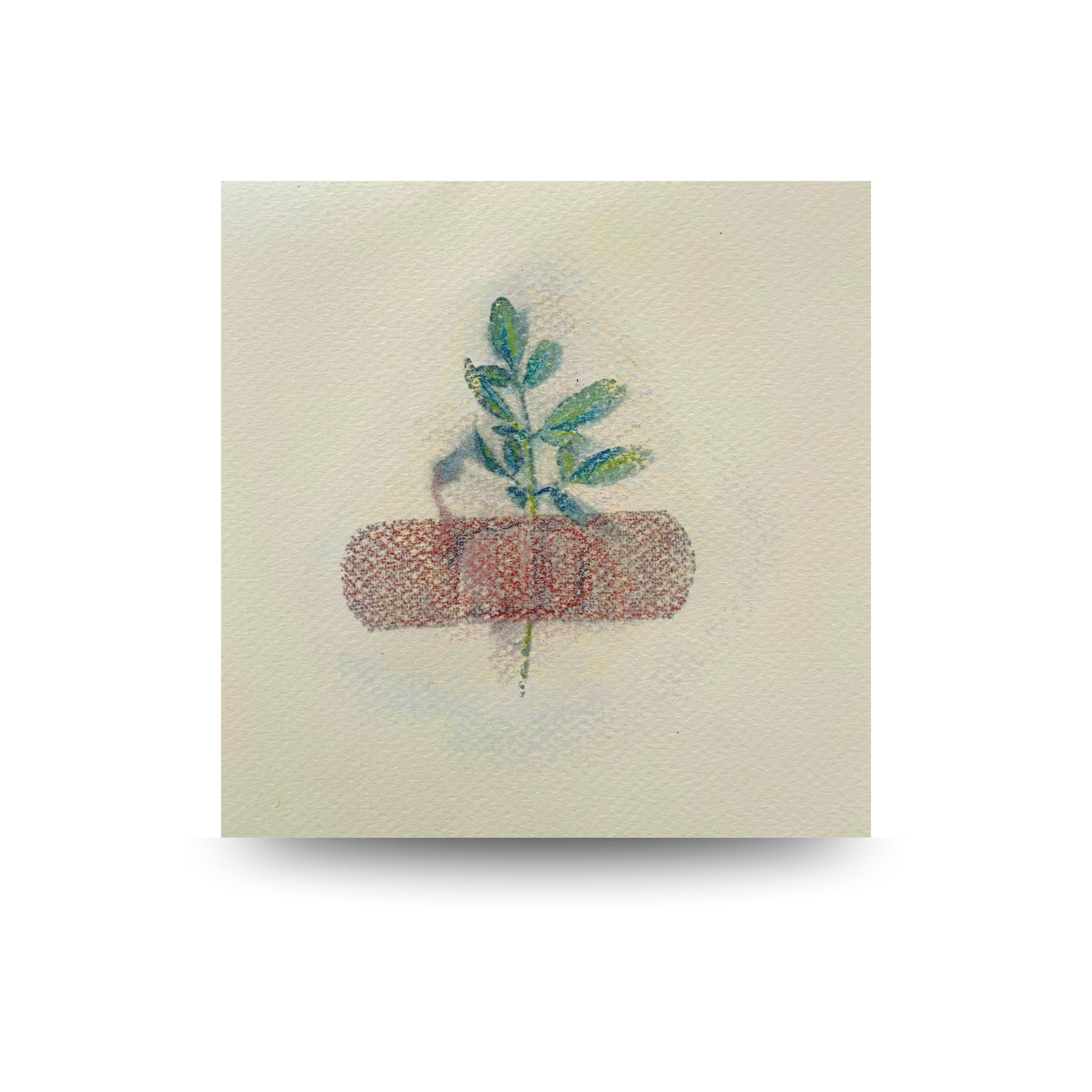 Archivo de lo íntimo
2025
Conjunto de 4 piezas. Medios mixtos sobre papel
10 × 10 in (25 × 25 cm) cada una