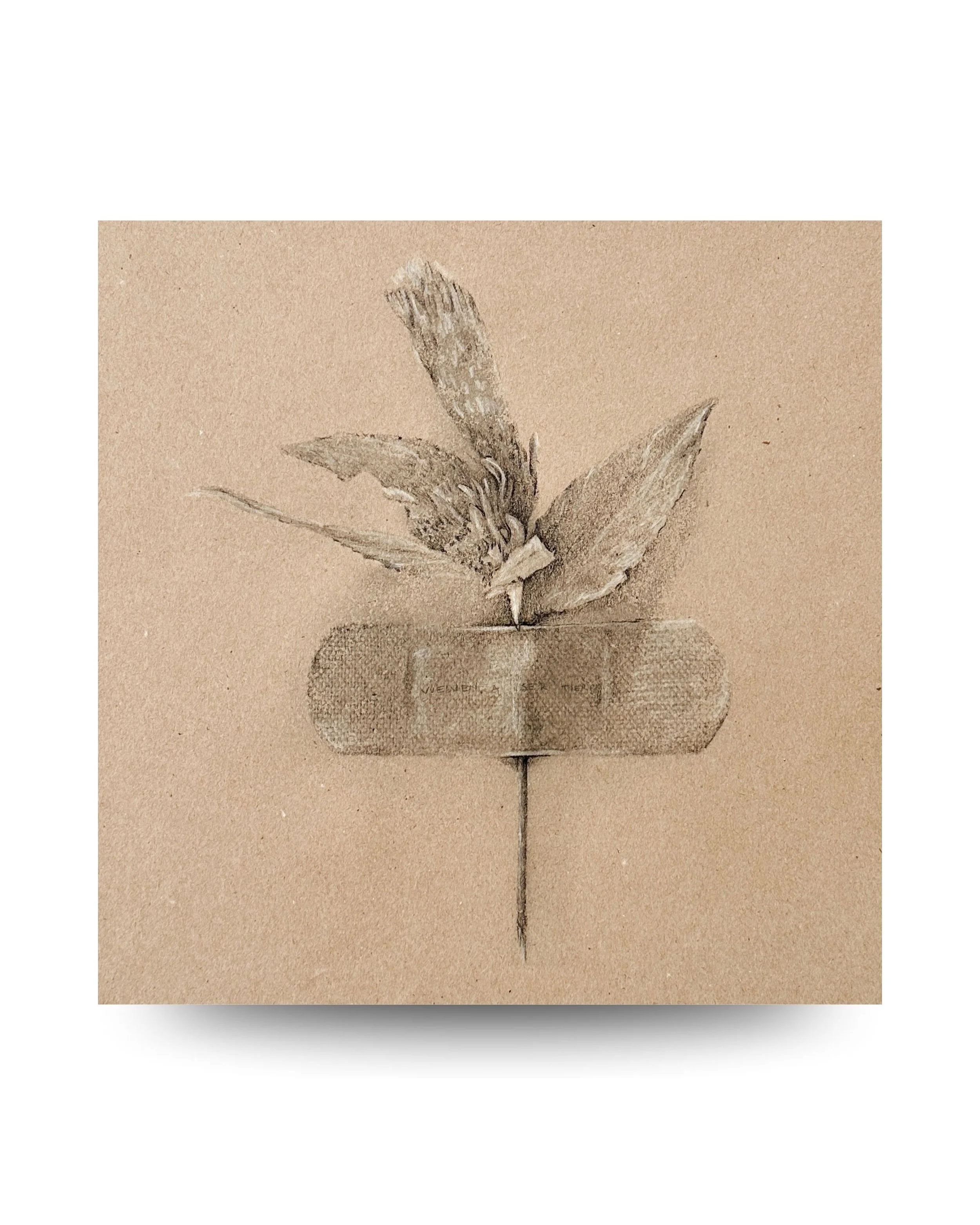 Despertar del olvido
2025
Medios mixtos sobre papel, enmarcado
25.5 × 24.25 in (65 × 62 cm) cada una
Conjunto de 2 piezas