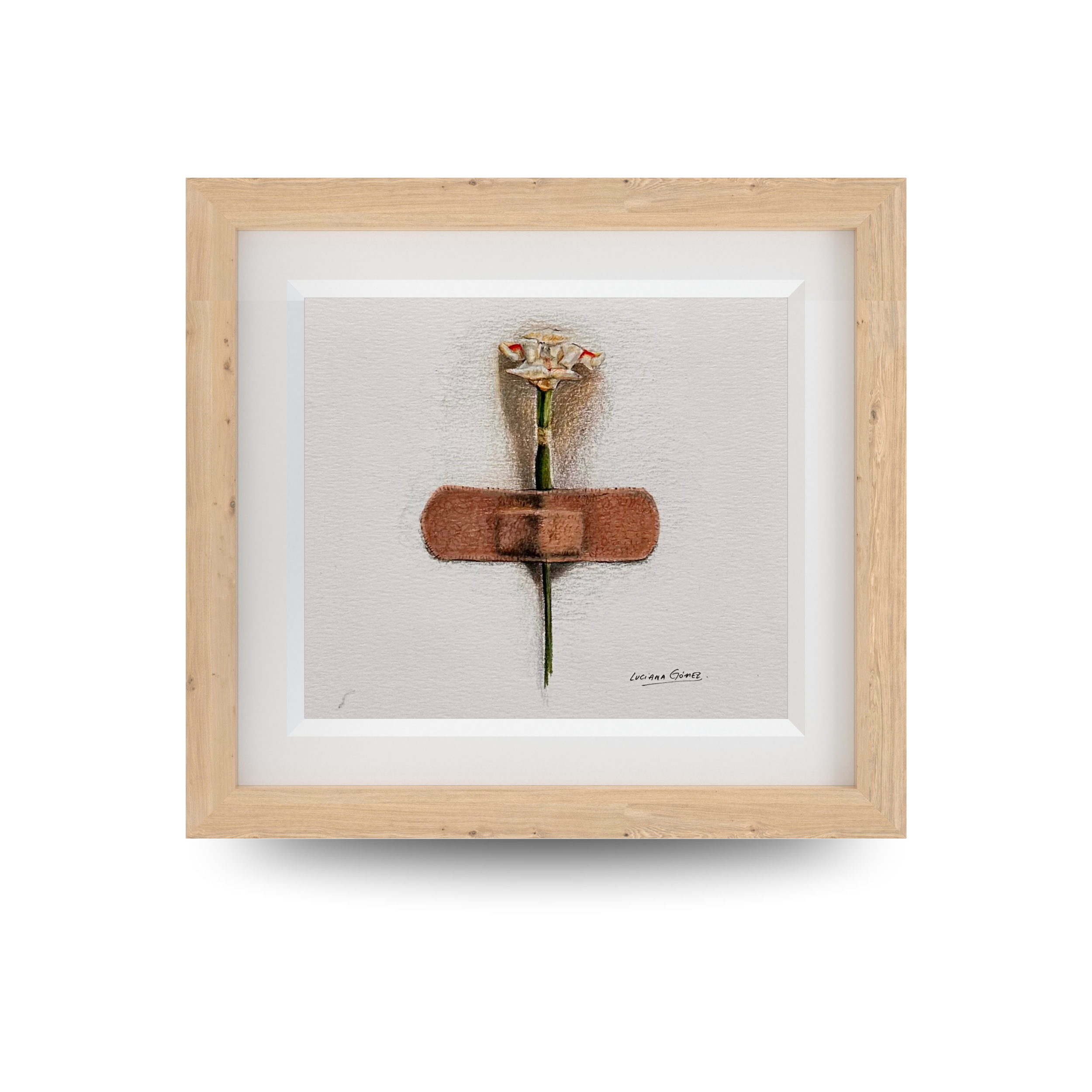 Flor blanca -  12,5x12,5cm (5" x 5" inch)  – Lápiz de color sobre papel  - 2023