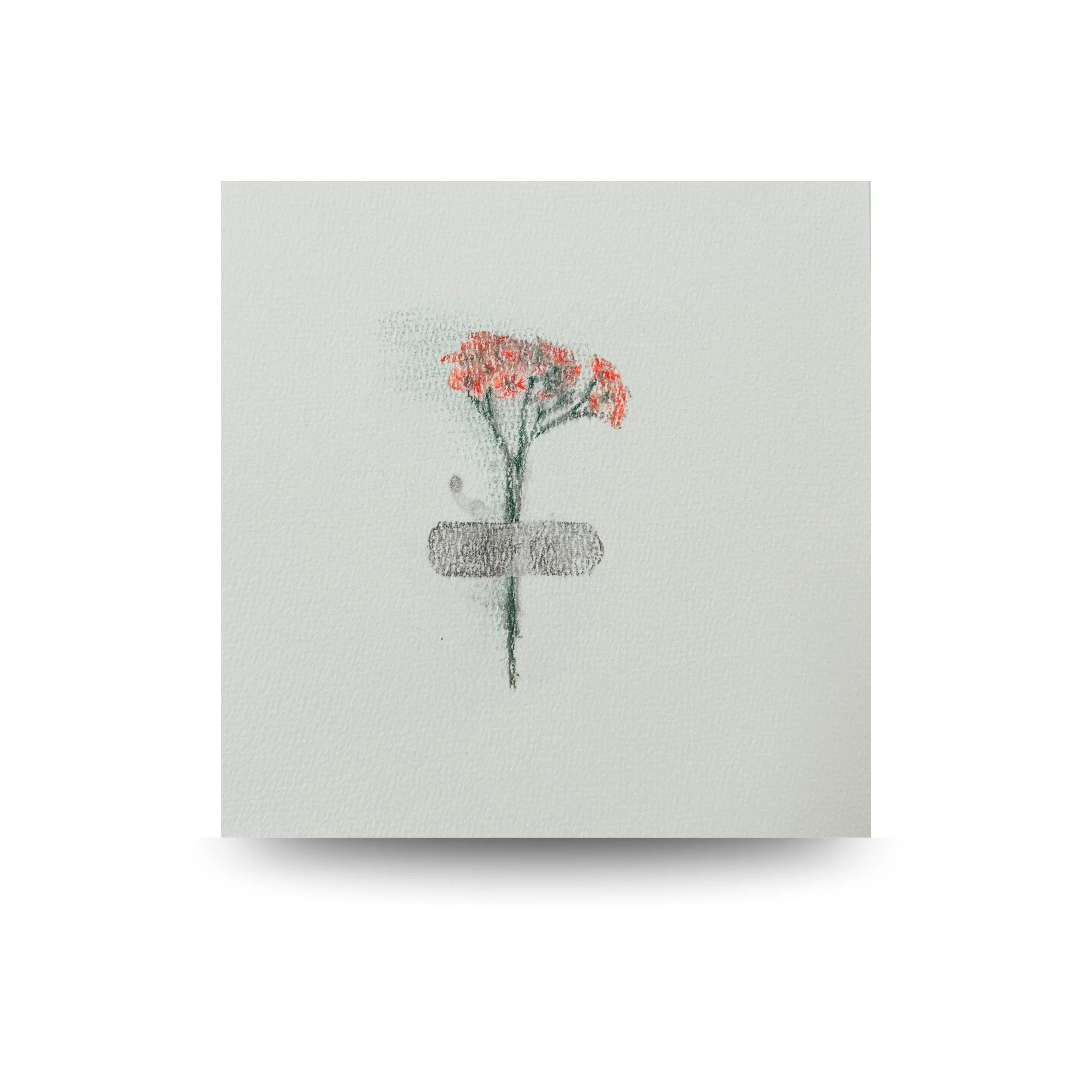 Archivo de lo íntimo
2025
Conjunto de 4 piezas. Medios mixtos sobre papel
10 × 10 in (25 × 25 cm) cada una