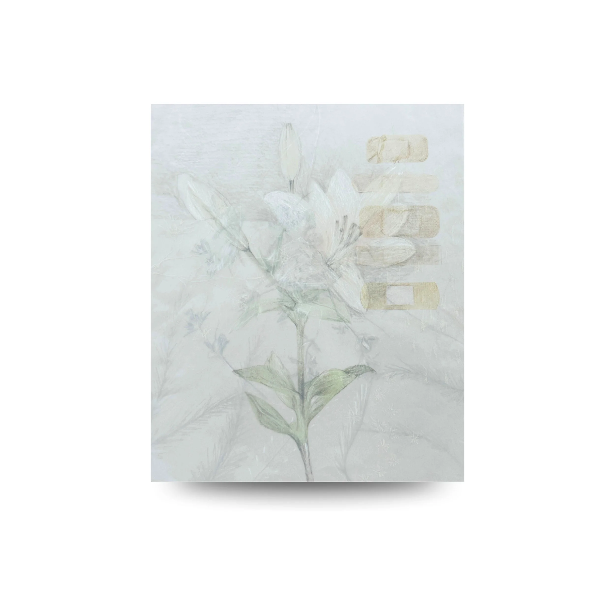 Tiempo
2025
Conjunto de 2 piezas
Lápiz y pastel sobre papel vegetal en capas
11.7 × 16.5 in (29.7 × 42 cm) cada una