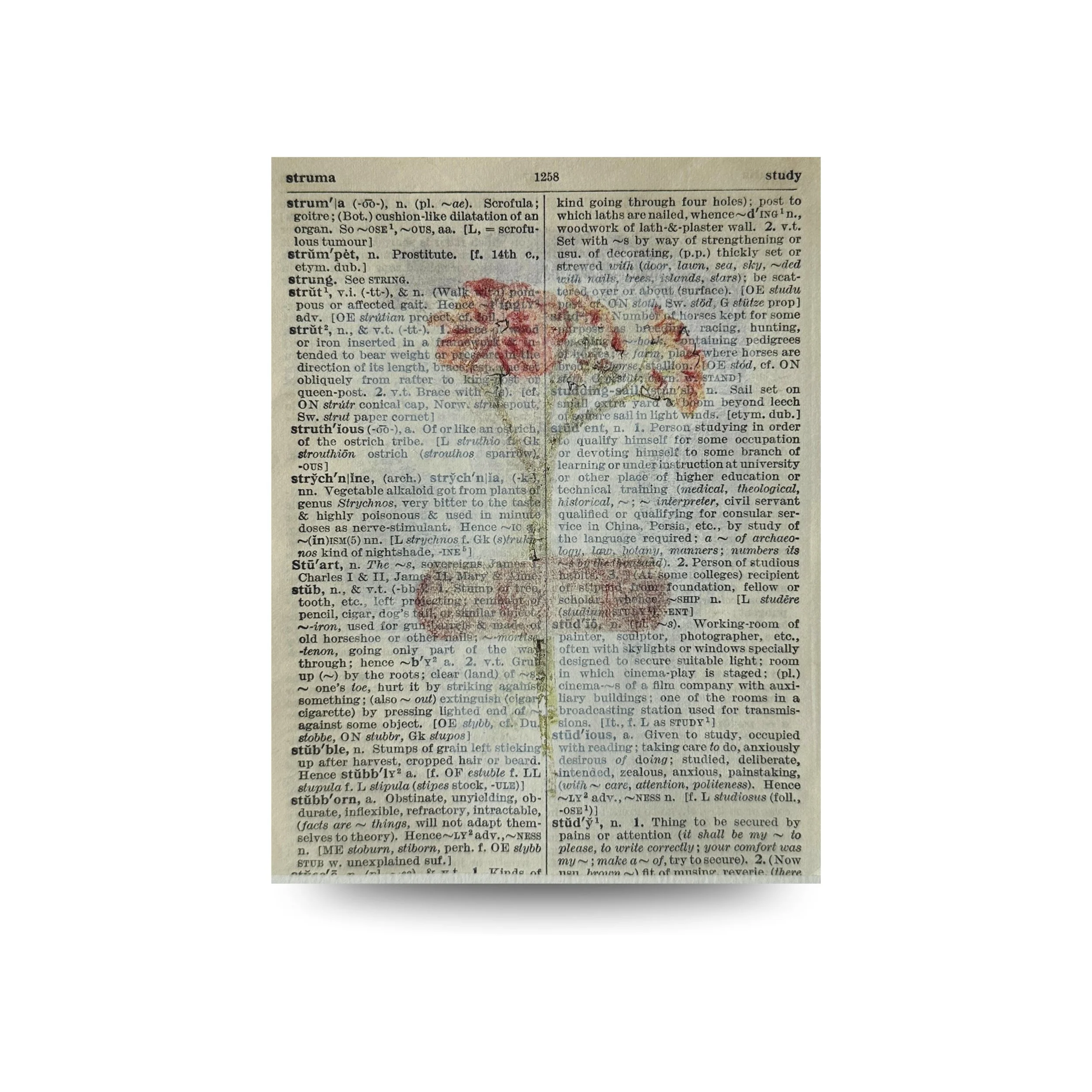 Archivo de lo íntimo
2025
Conjunto de 4 piezas. Medios mixtos sobre papel
10 × 10 in (25 × 25 cm) cada una