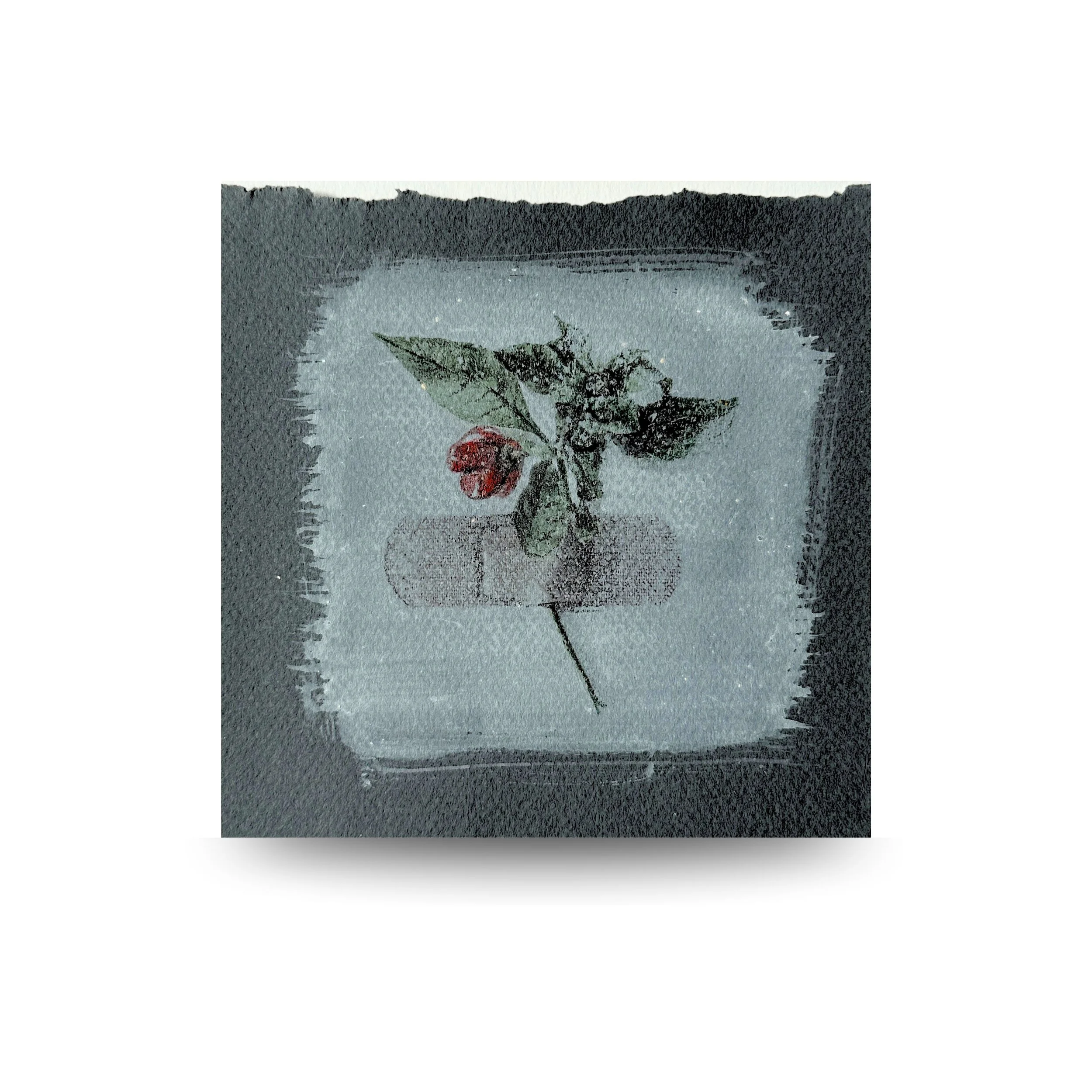 Archivo de lo íntimo
2025
Conjunto de 4 piezas. Medios mixtos sobre papel
10 × 10 in (25 × 25 cm) cada una