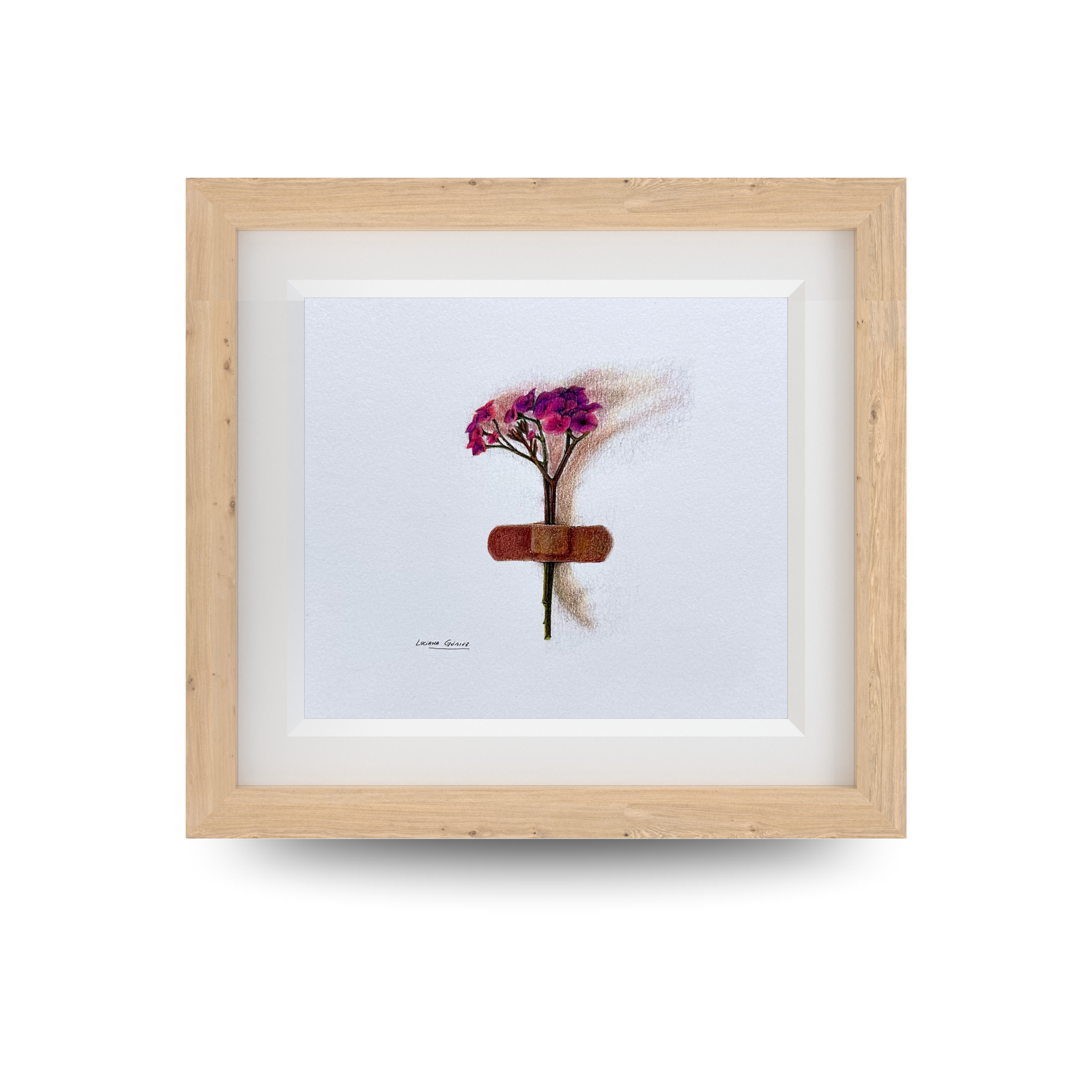 Flor rosa -  12,5x12,5cm (5" x 5" inch)  – Lápiz de color sobre papel  - 2023