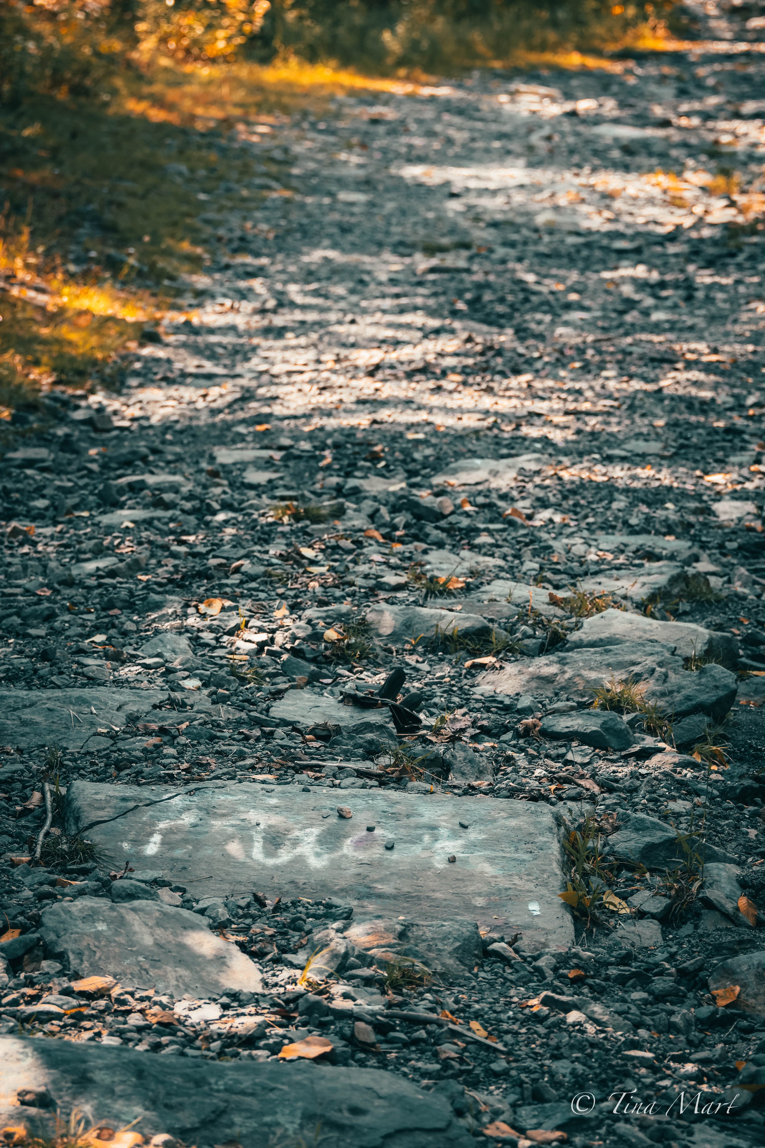20230916-092A6419.jpg
