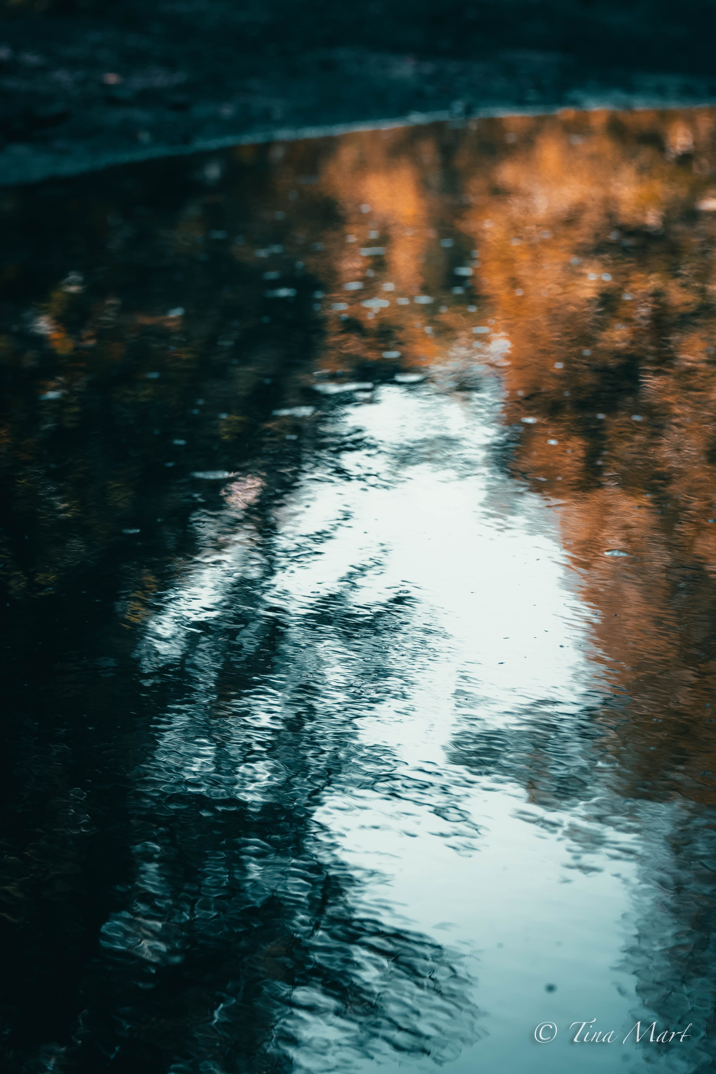 20230916-092A6402.jpg