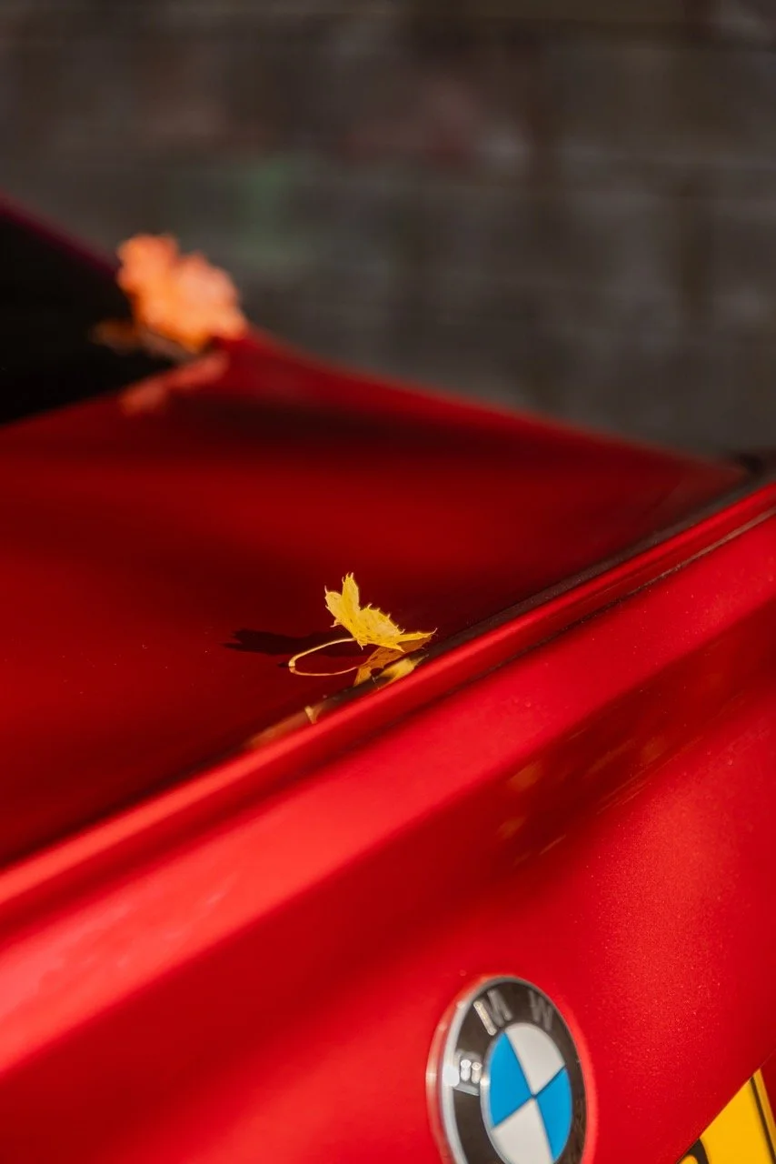 bmwlove-41 - Grande.jpeg