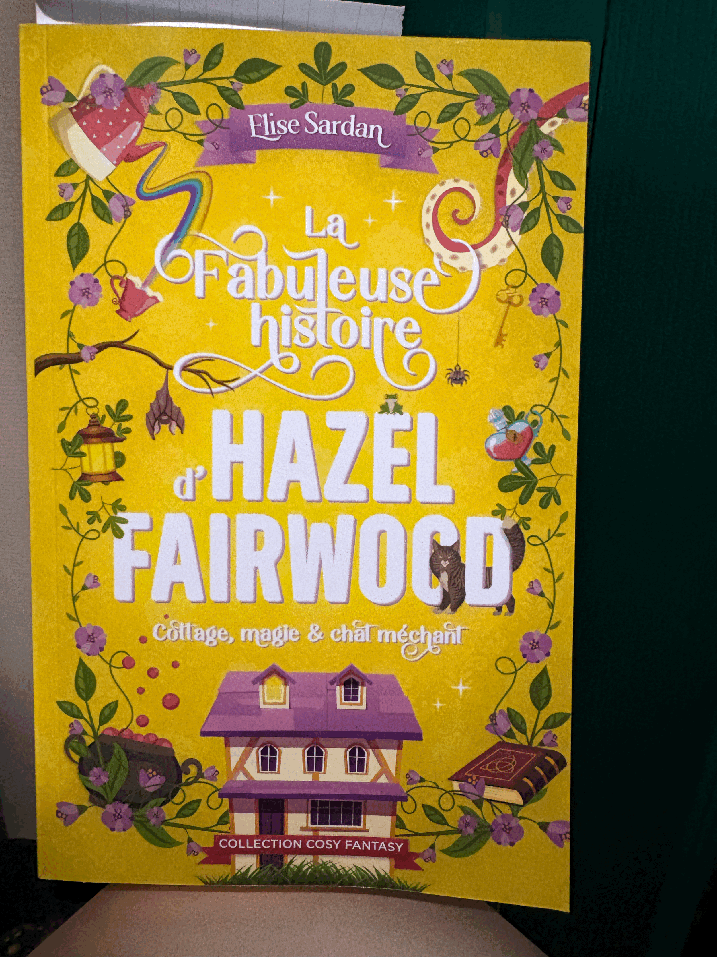 La fabuleuse histoire d'Hazel Fairwood - Elise Sardan