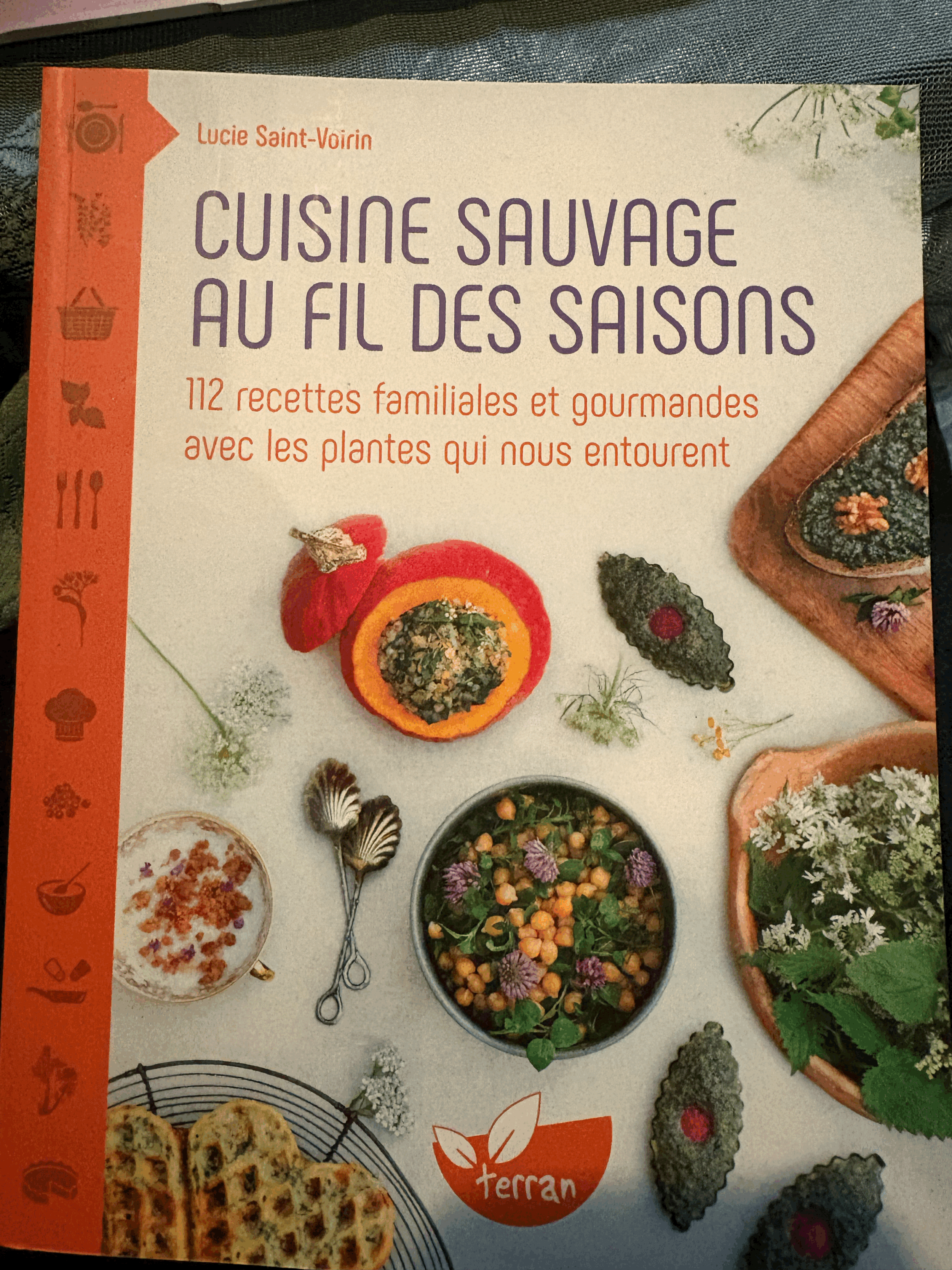 Cuisine sauvage au fil des saisons - Lucie Saint-Voirin
