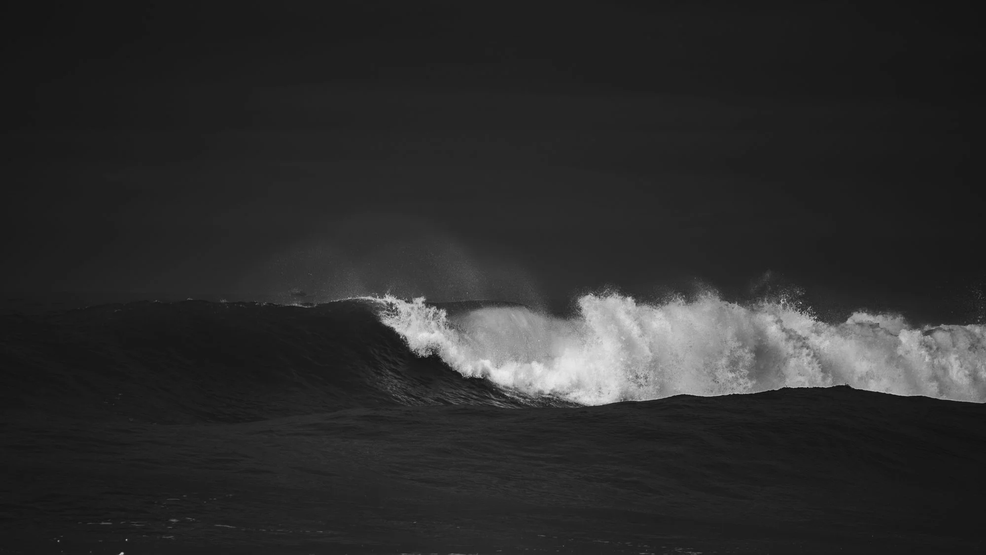 Surf