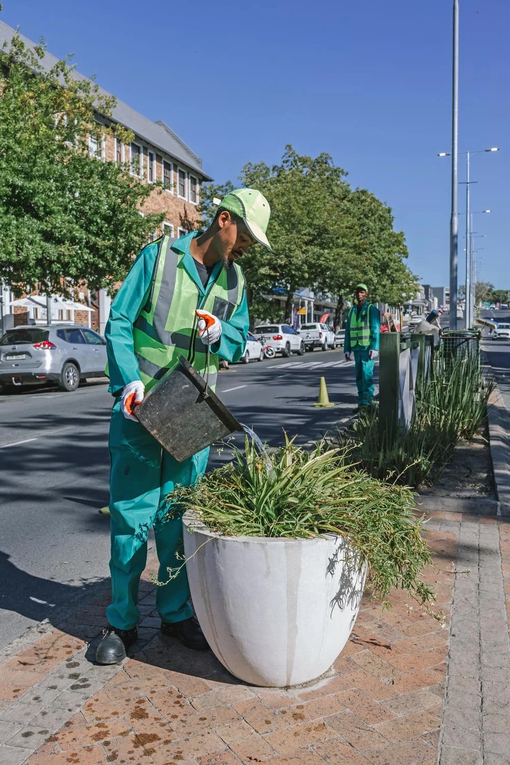 Let’s take action! – A call from the Somerset West City Improvement ...