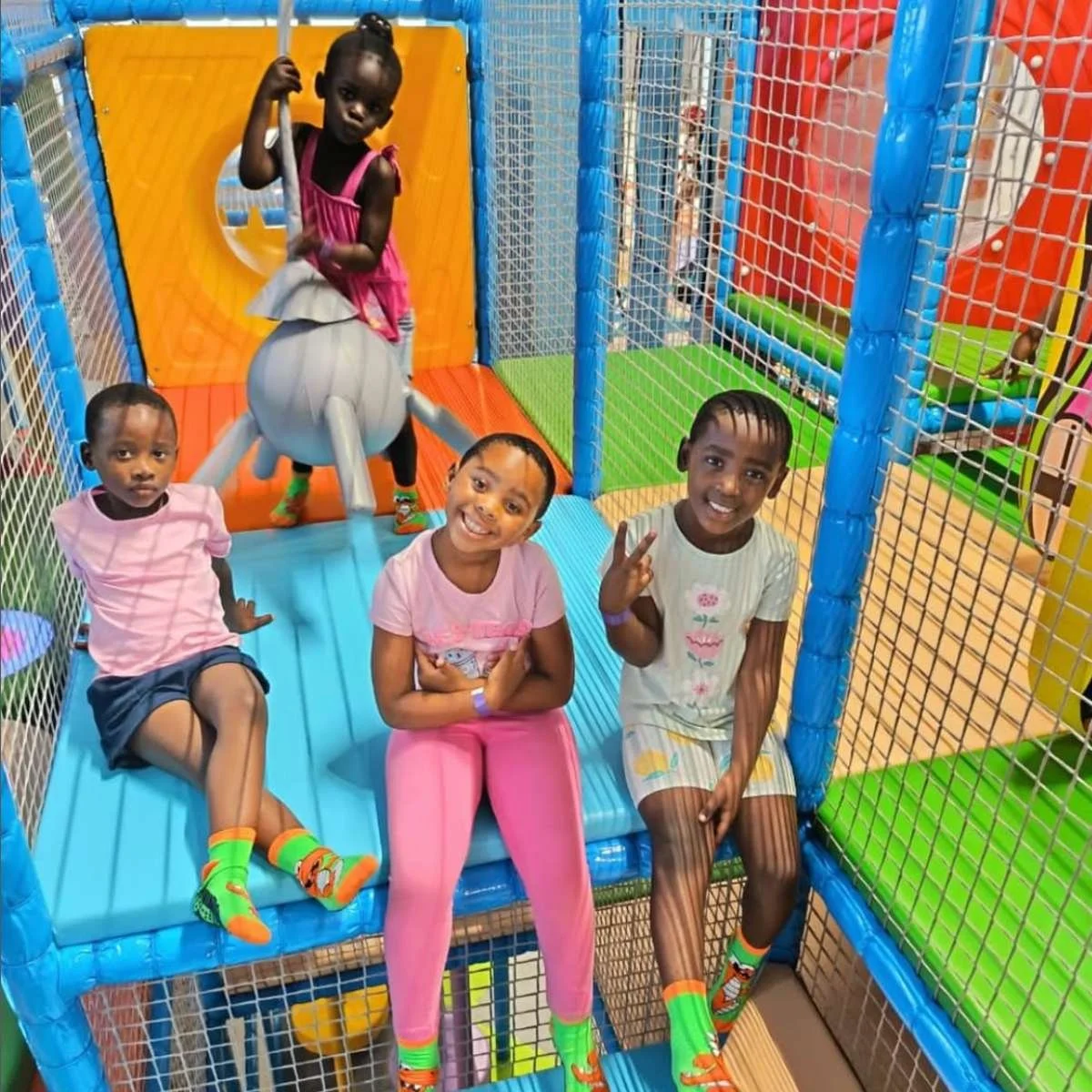 New in Somerset West Roar Around.jpg