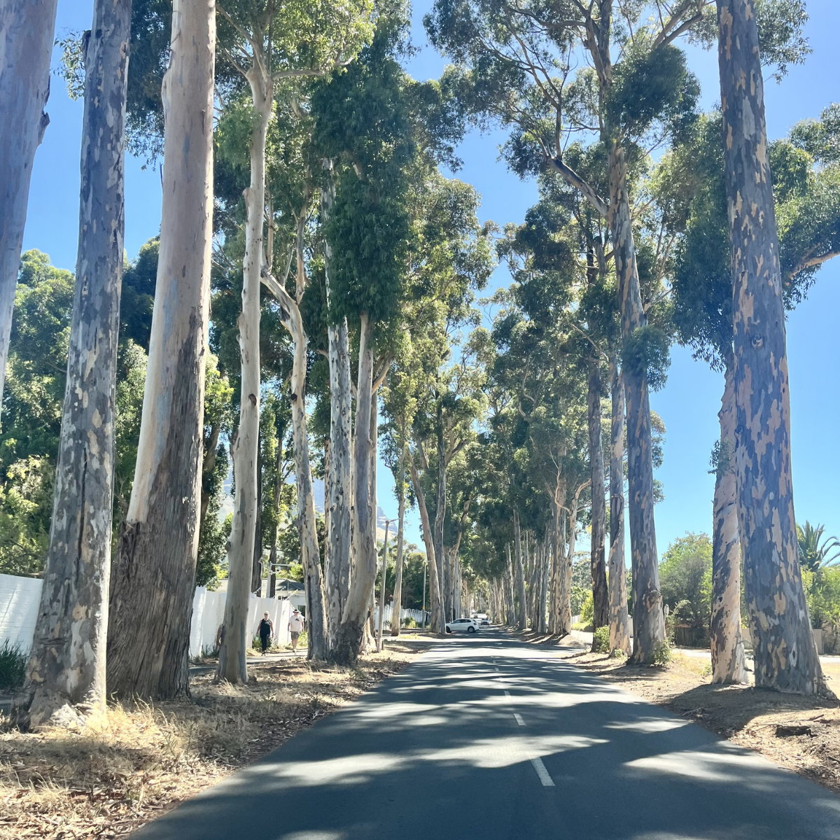 Iconic Streets of Somerset West