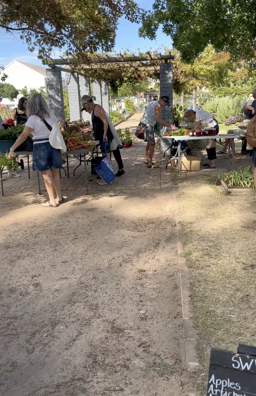 Somerset West Village Garden 7.png