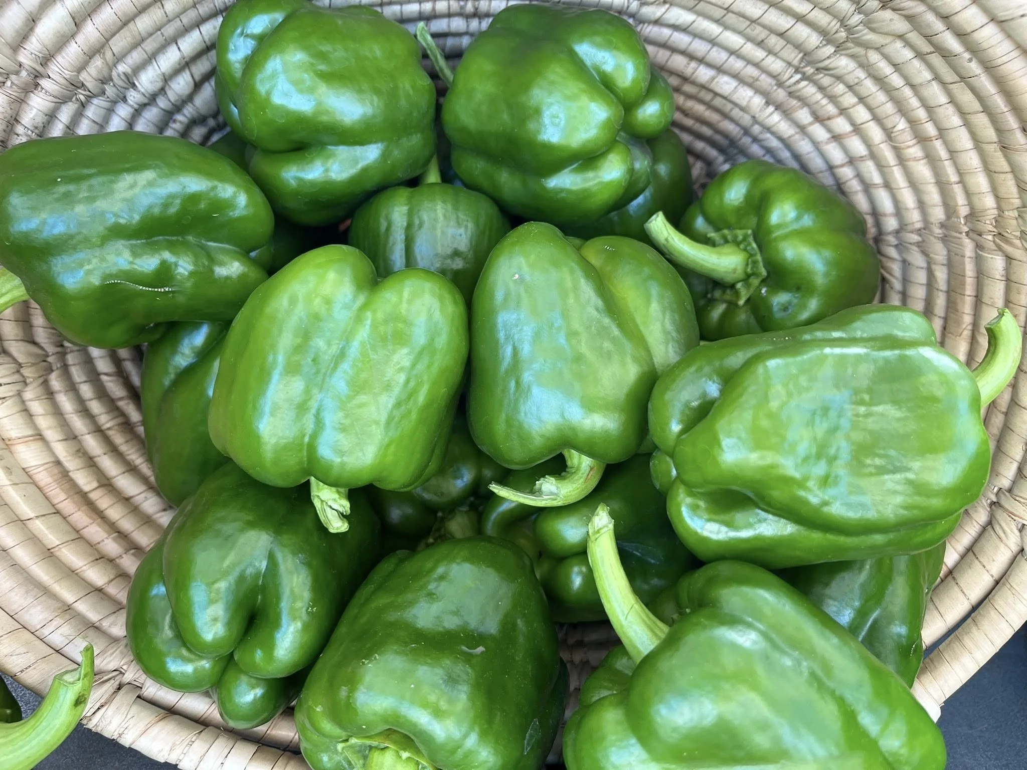 Somerset West Village Garden 3.jpg