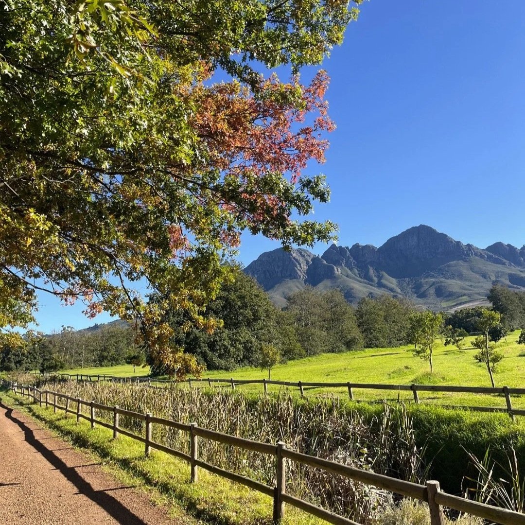 Somerset West Through Your Eyes