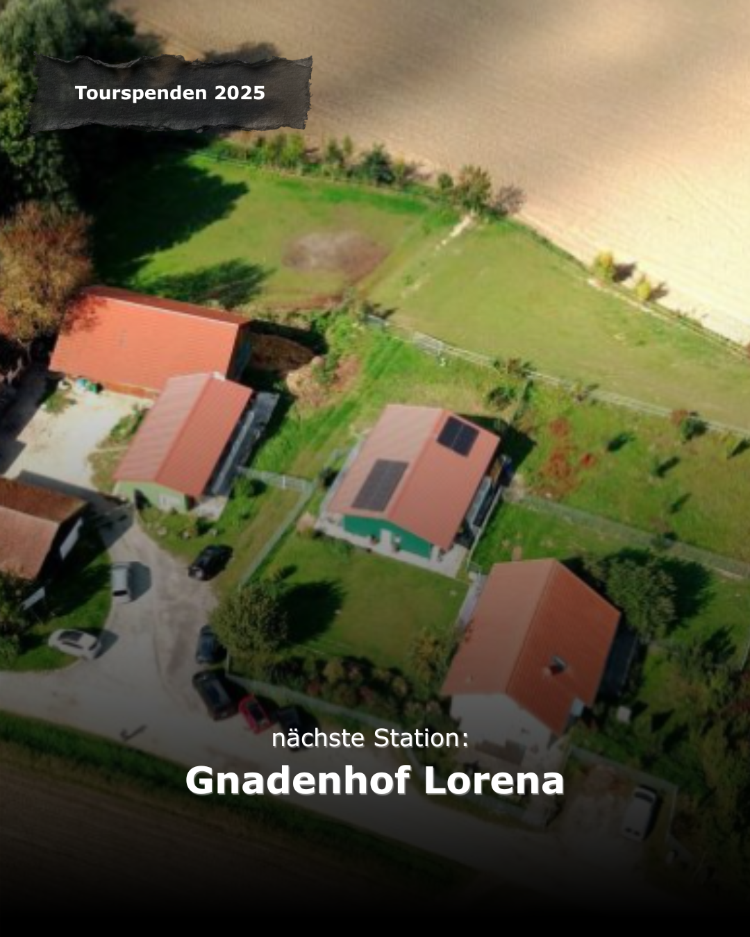 Der Gnadenhof  Lorena ist für viele Bewohner weit mehr als nur ein Gnadenplatz. Hier wird mit Herz und Geduld daran gearbeitet, den Tieren wieder Vertrauen zu schenken. Das Ziel? Ein echtes „Für-immer-Zuhause“! Bei vielen gelingt das kleine Wunder, u