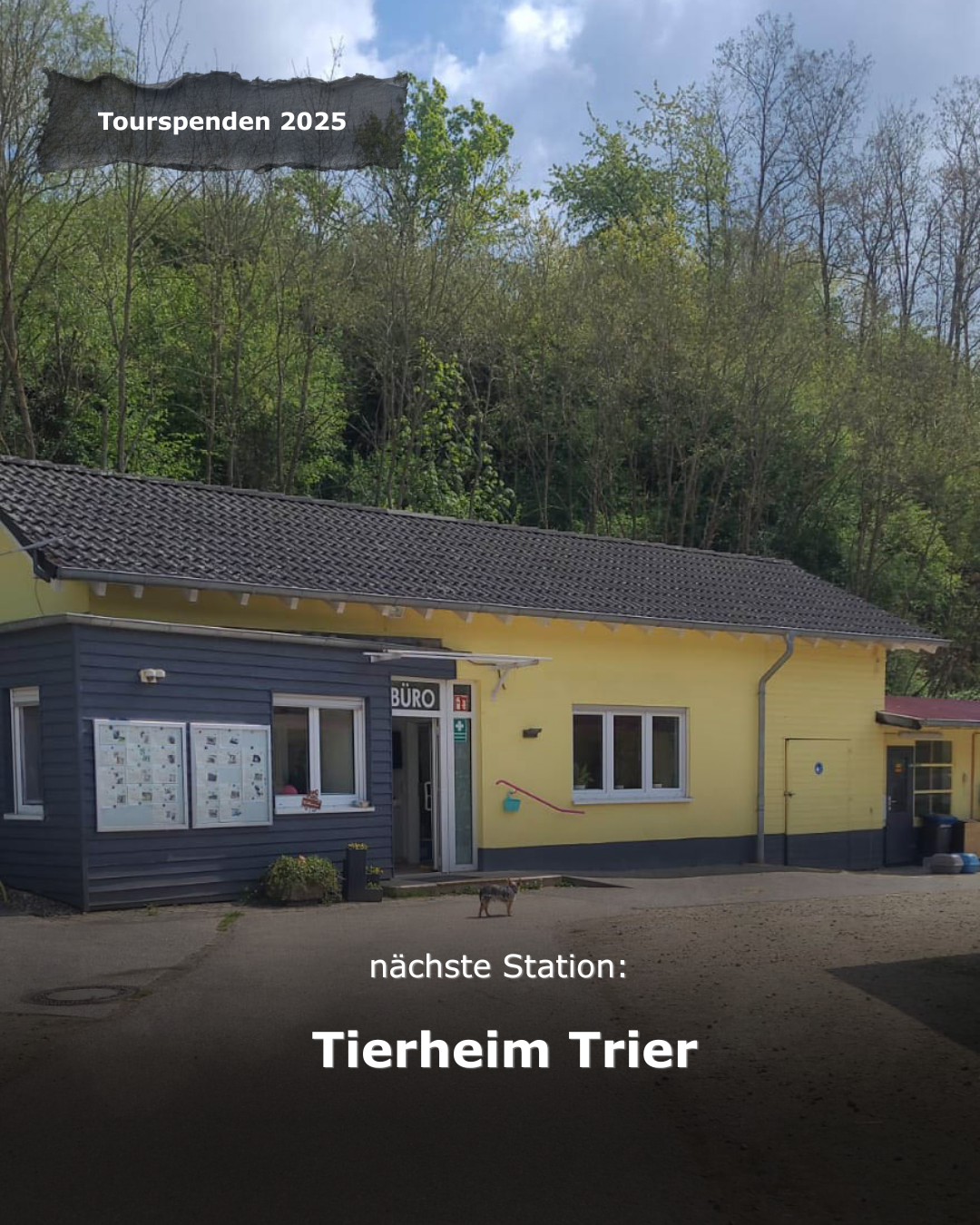 Dank Eurer Tipps aus der Vorschlagsbox auf der letzten Onkelztour sind wir beim Tierschutzverein Trier und Umgebung e. V. gelandet. Hier wird weit mehr geleistet als „nur“ die Vermittlung von Tieren.
Das Team vor Ort kämpft an vorderster Front: 
🛡️ 