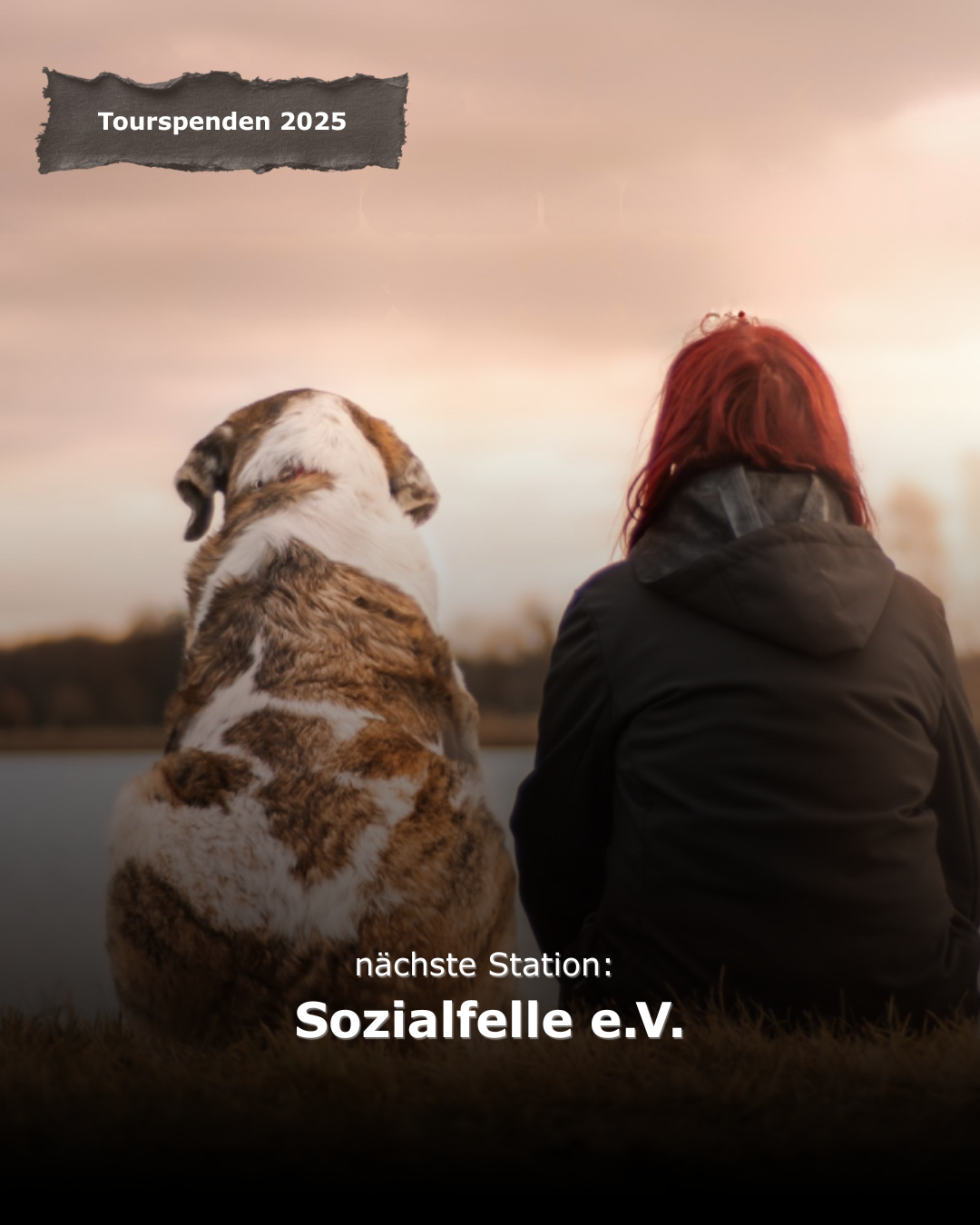 Der Verein Sozialfelle e.V. sorgt bundesweit dafür, dass Mensch und Tier in sozialen Notlagen zusammenbleiben können. Ob für Rentner, Familien oder Menschen mit Beeinträchtigungen – sie übernehmen Tierarztkosten und Medikamente, wenn es alleine nicht