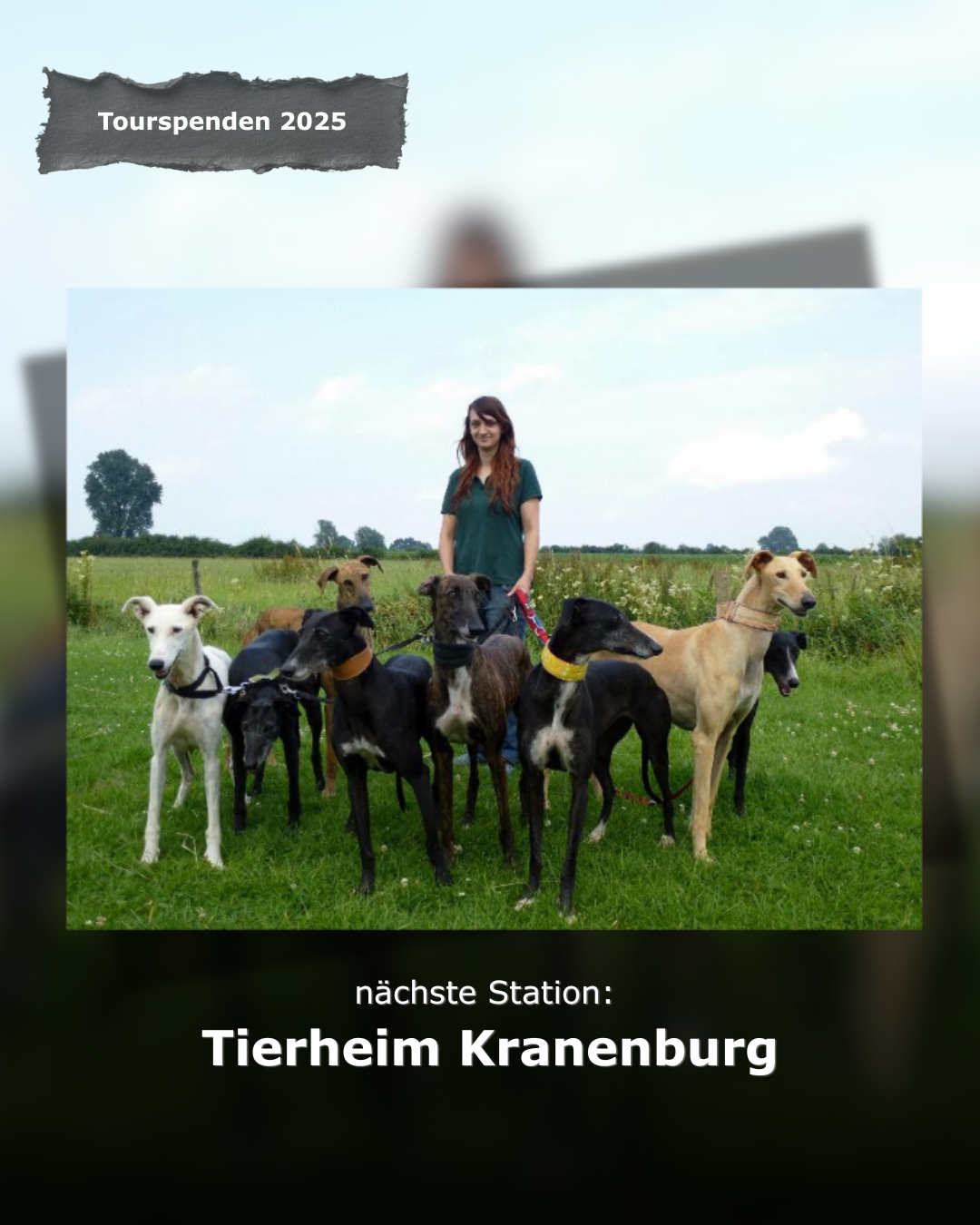 Im Tierheim Kranenburg wird Tierschutz nicht nur verwaltet, sondern mit Vision gelebt. Statt trister Einzelzwinger setzt Kranenburg auf großzügige Ausläufe und Rudelhaltung.  Ob Hund oder Katze – individuelle Zuwendung und echte Lebensqualität stehen