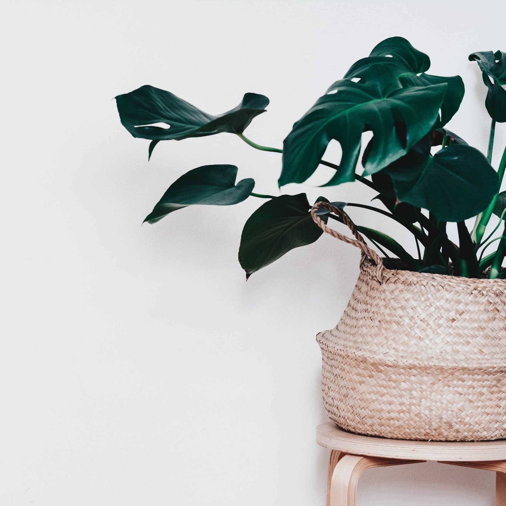 content-pixie-As4BeyfqUHw-unsplash-min.jpg